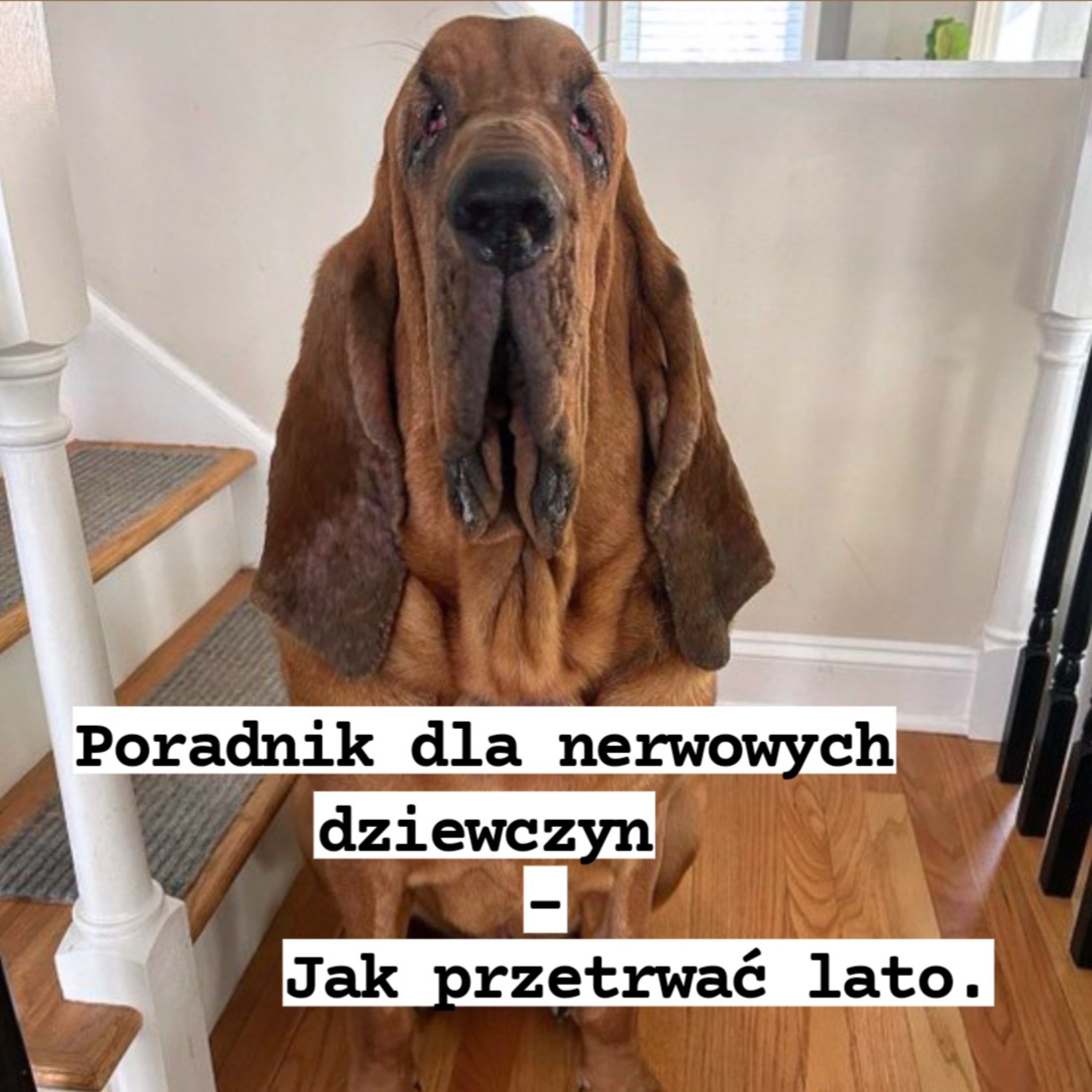 O Wszystkim i O Niczym