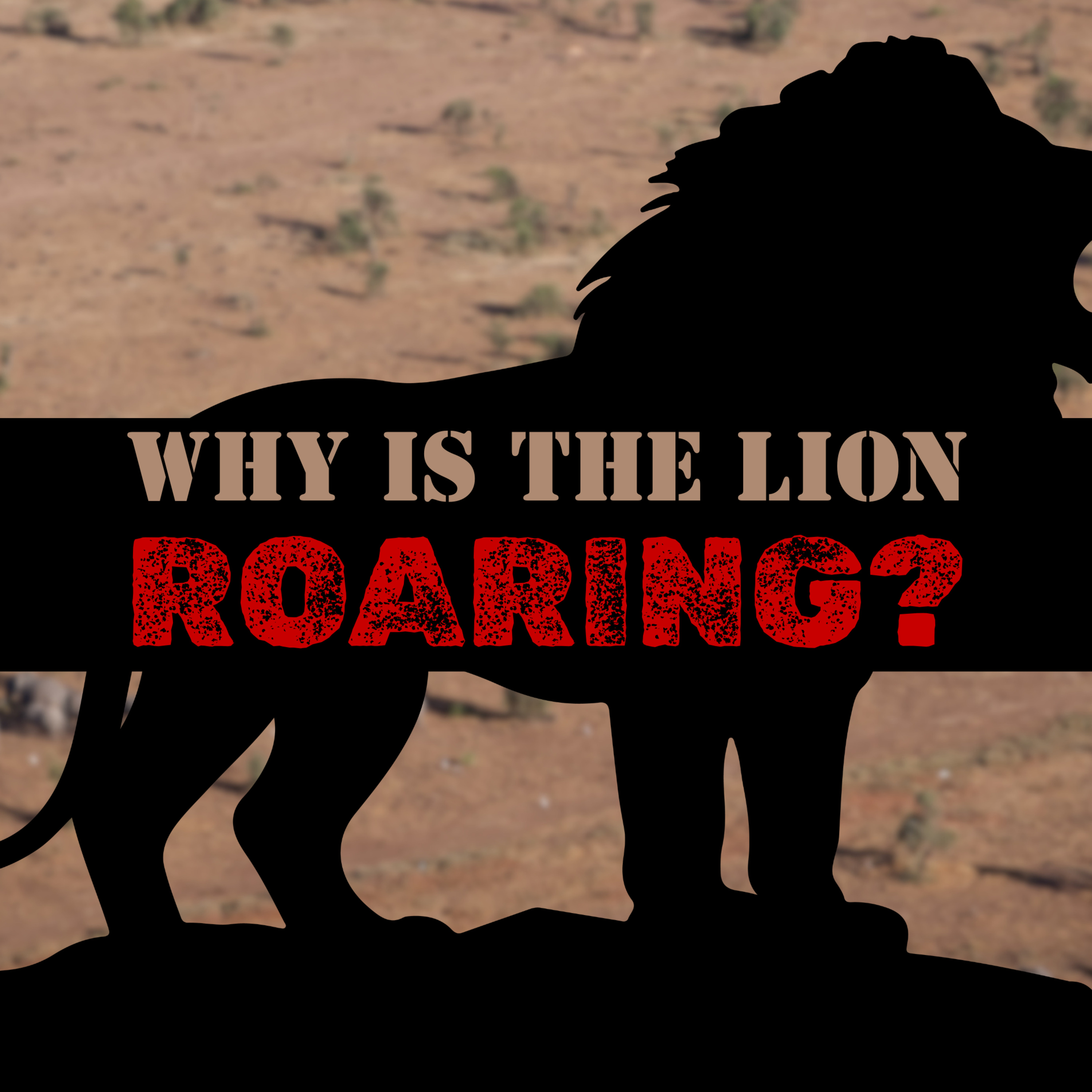 Why is the Lion Roaring? | Kent Butcher episode artwork