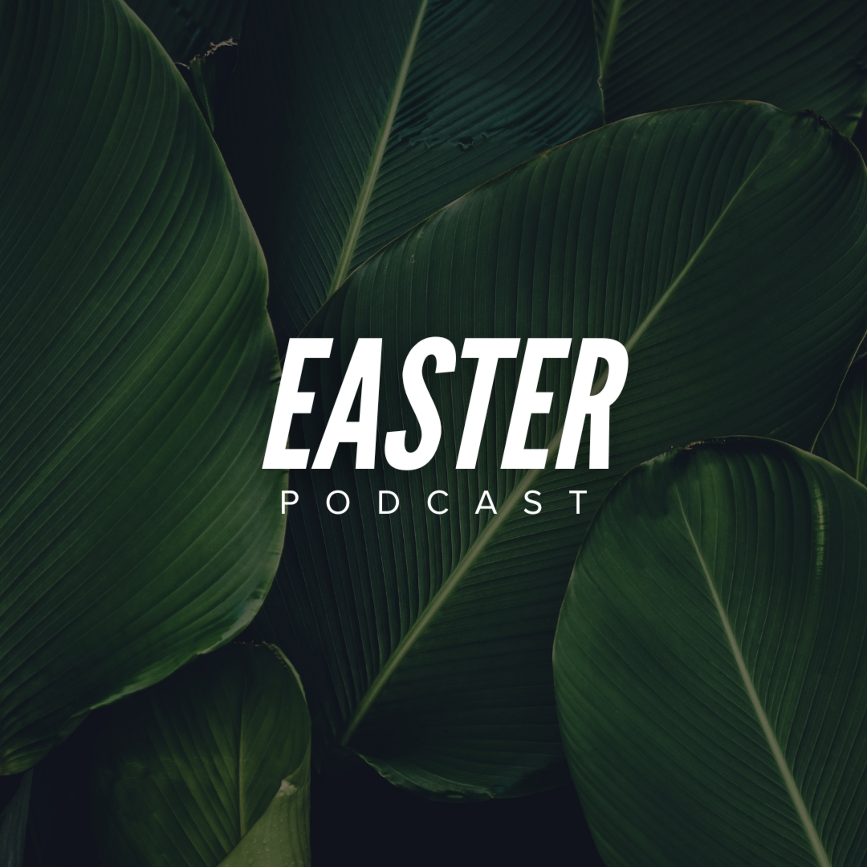 Easter | ALIVE - Week 1 | Lead Pastor, John Hansen