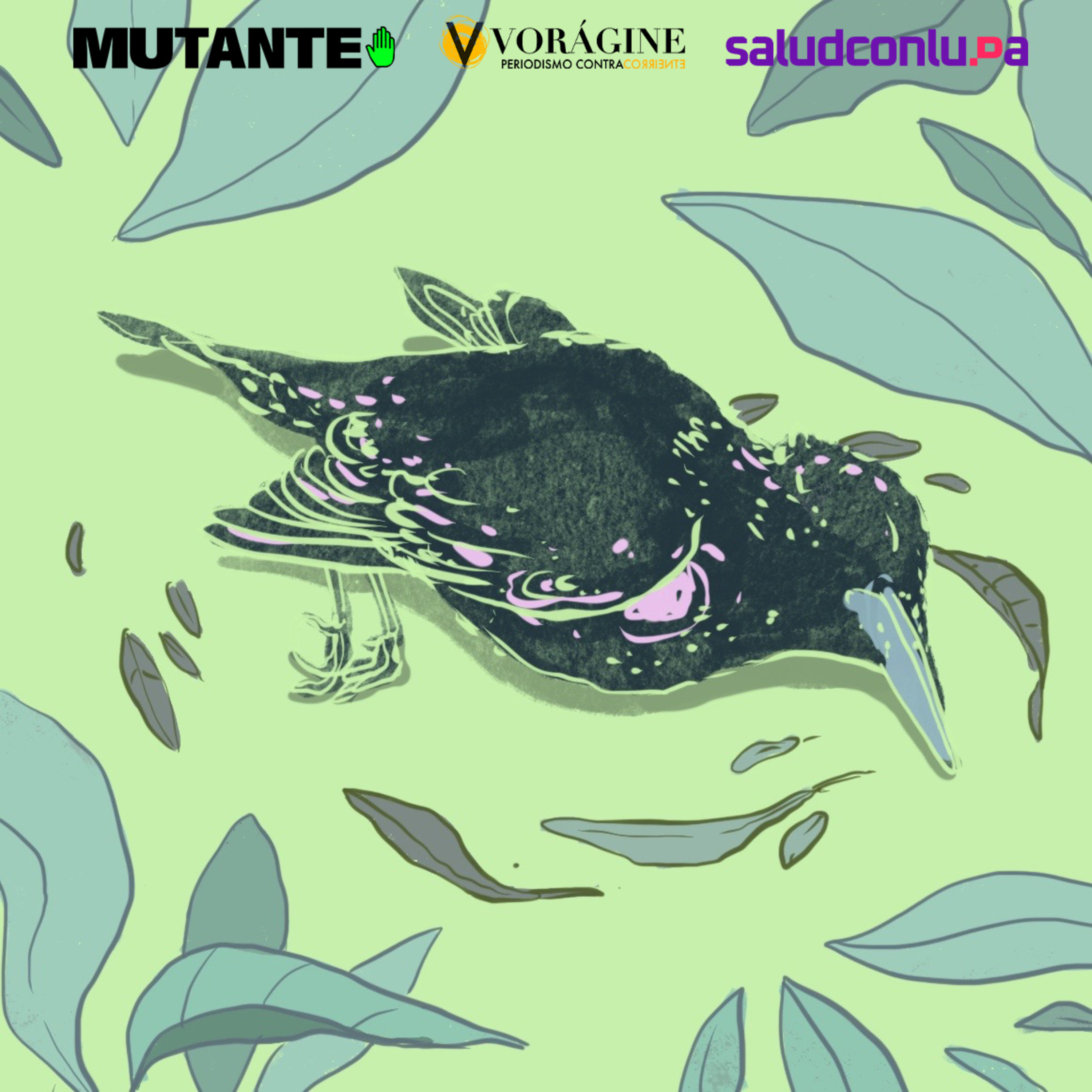 Especial de violencia obstétrica. Episodio 2: El lado B de la maternidad: atravesar la muerte perinatal