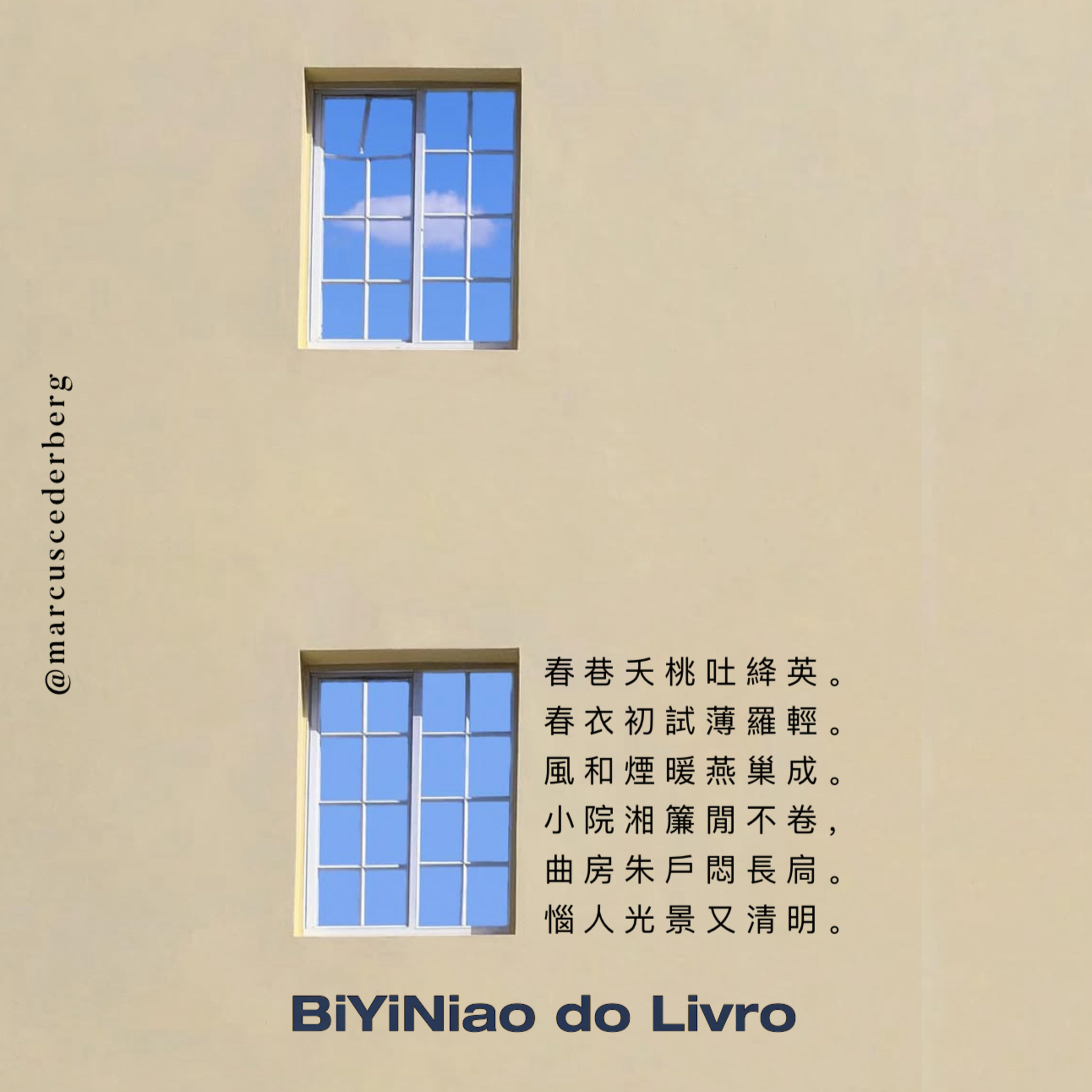 BiYiNiao do Livro