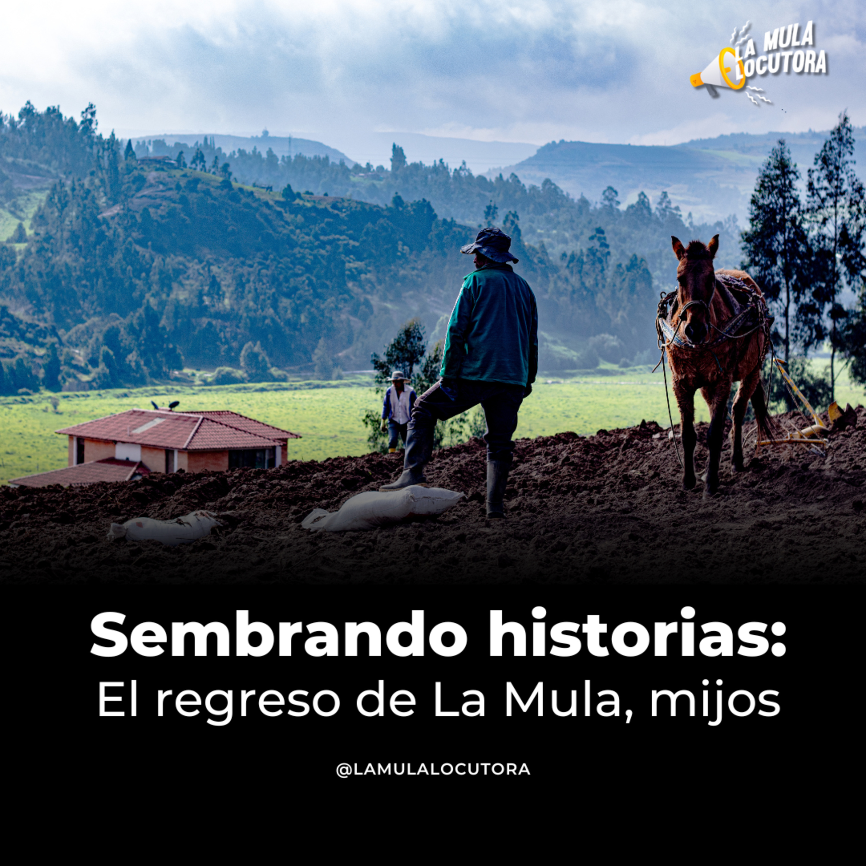 La Mula Locutora