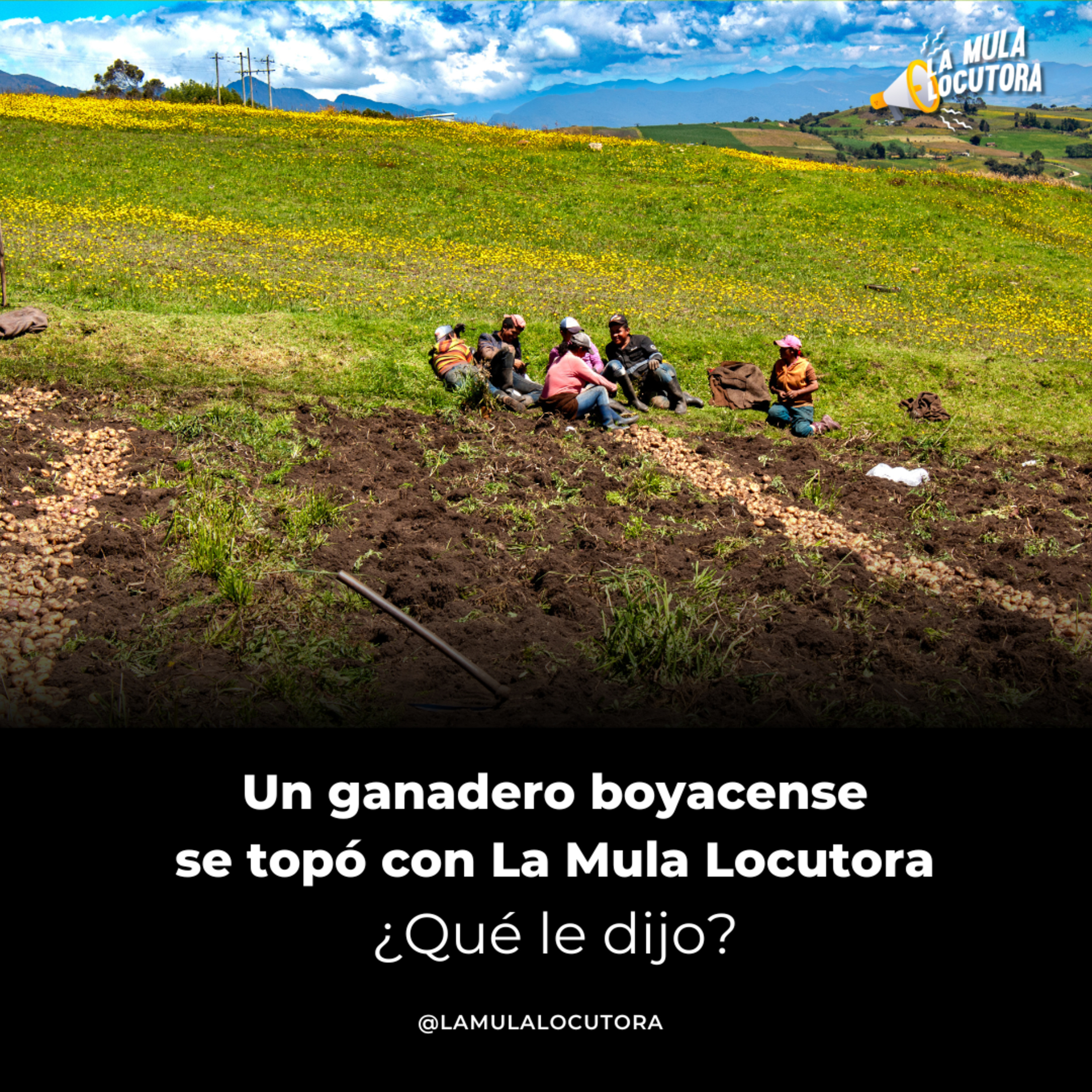 La Mula Locutora