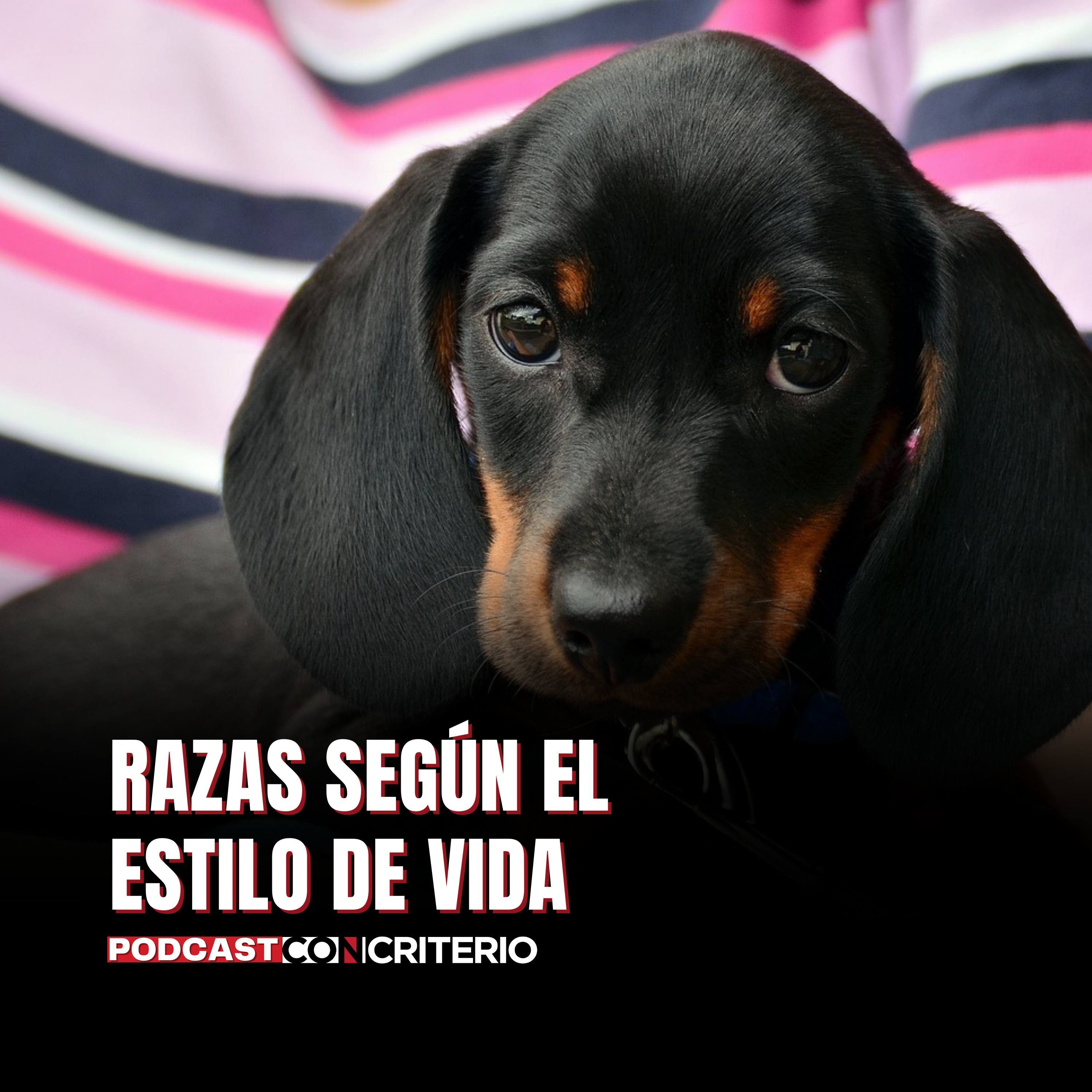 Portada de Análisis y debate ConCriterio
