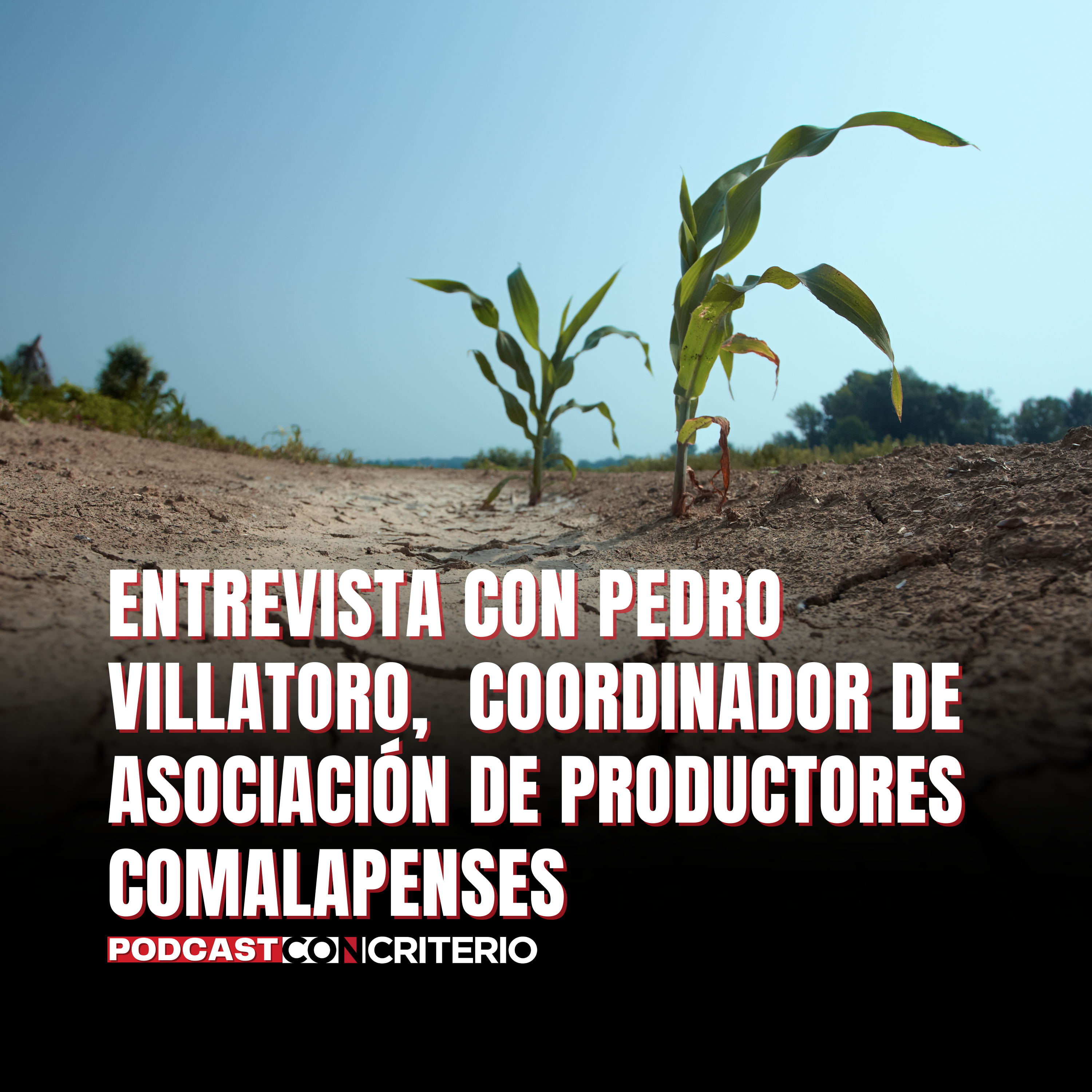 Análisis y debate ConCriterio