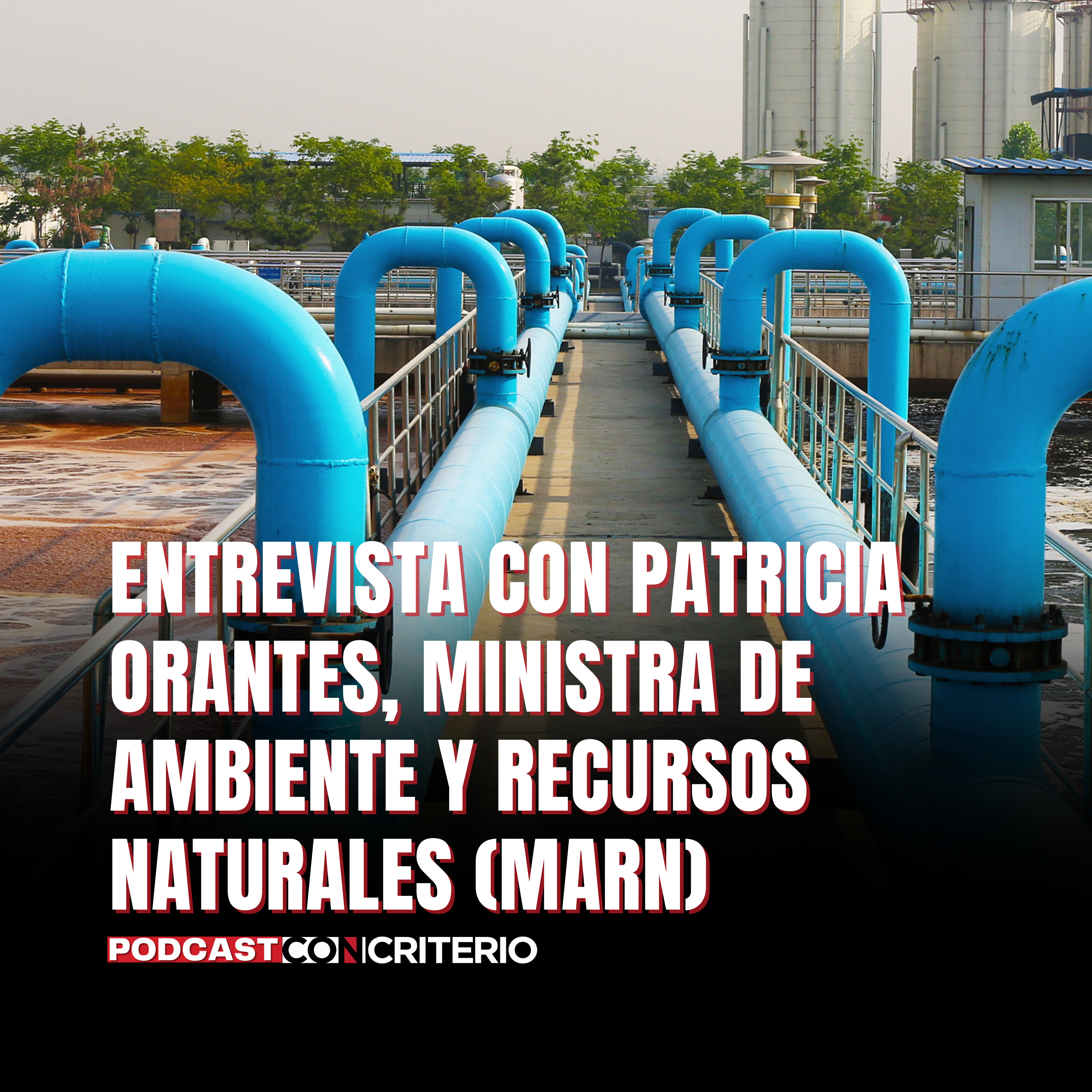 Portada de Análisis y debate ConCriterio