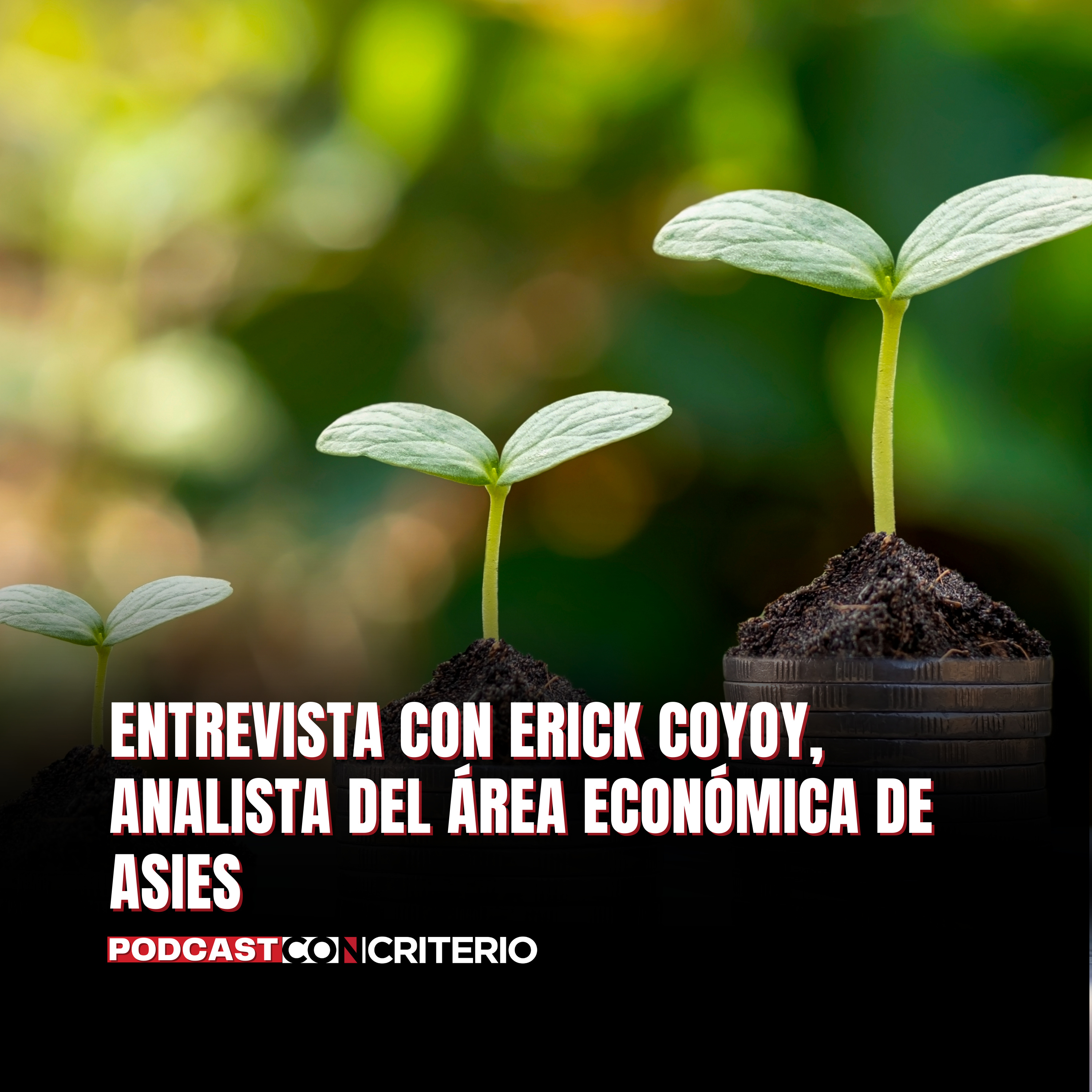 Análisis del Presupuesto Nacional 2026: retos de ejecución y distribución del gasto público en Guatemala