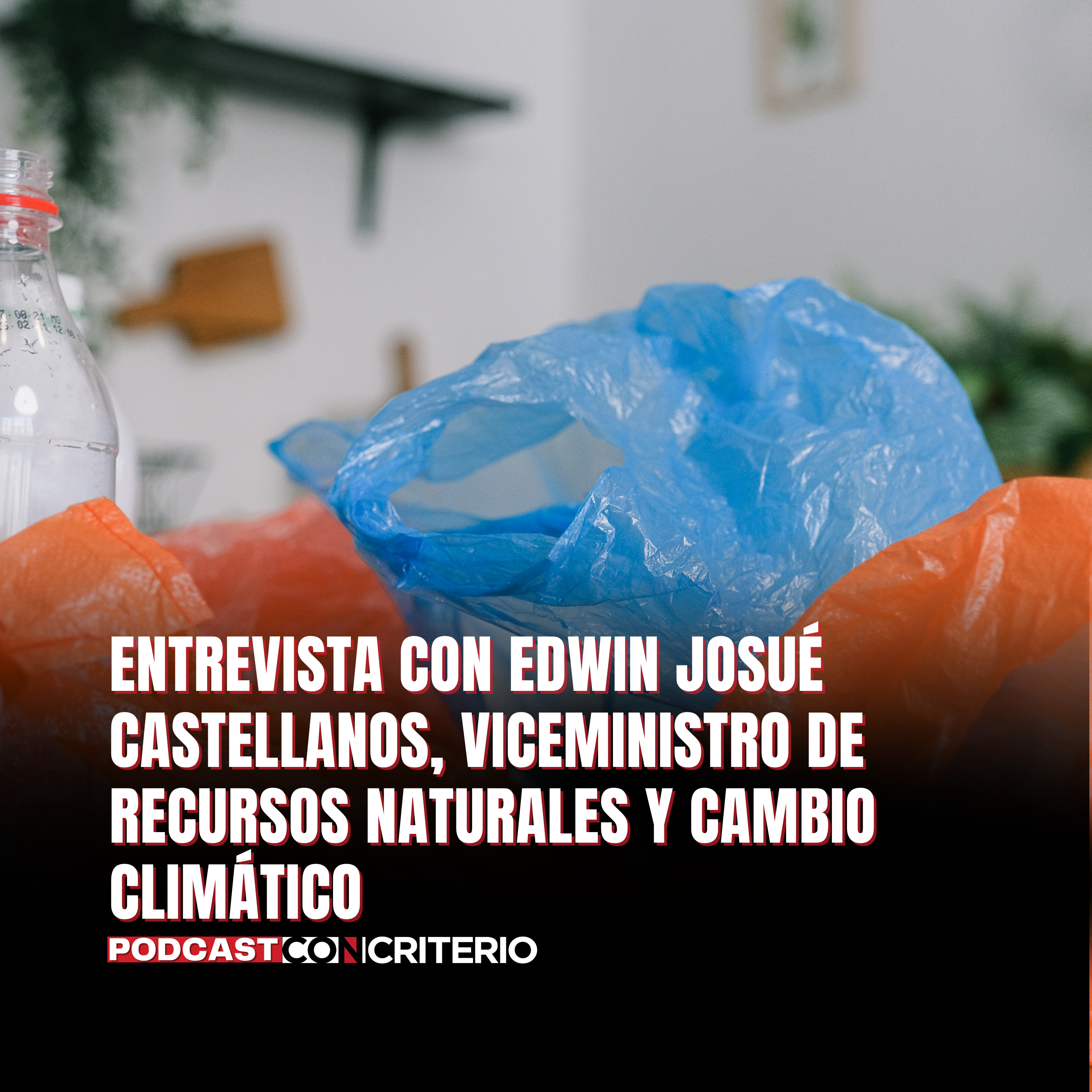 Fiestras Patrias: la campaña para reducir la contaminación por bolsas plásticas