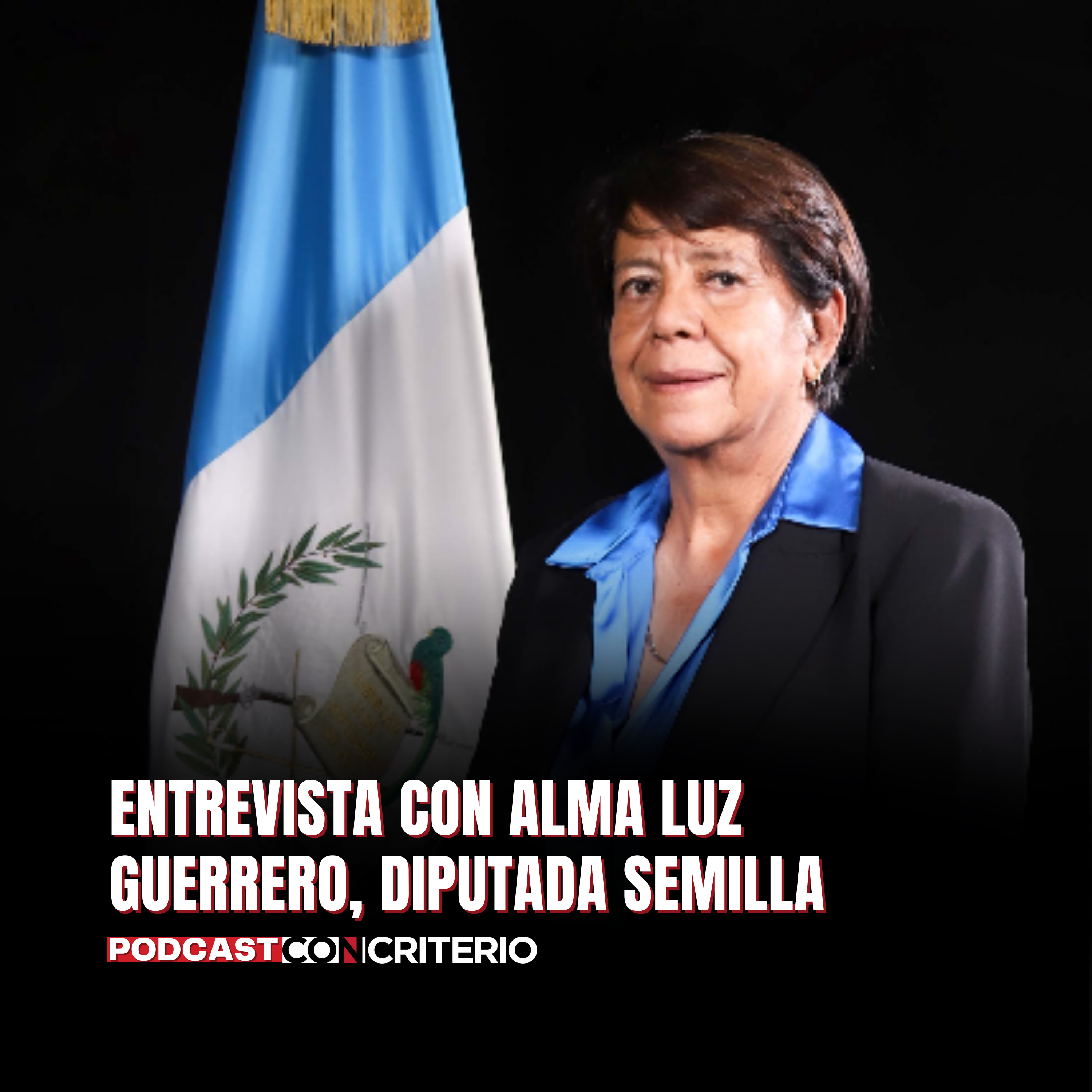 Cárceles de máxima seguridad y traslado de reos: los ejes de la Ley Antipandillas