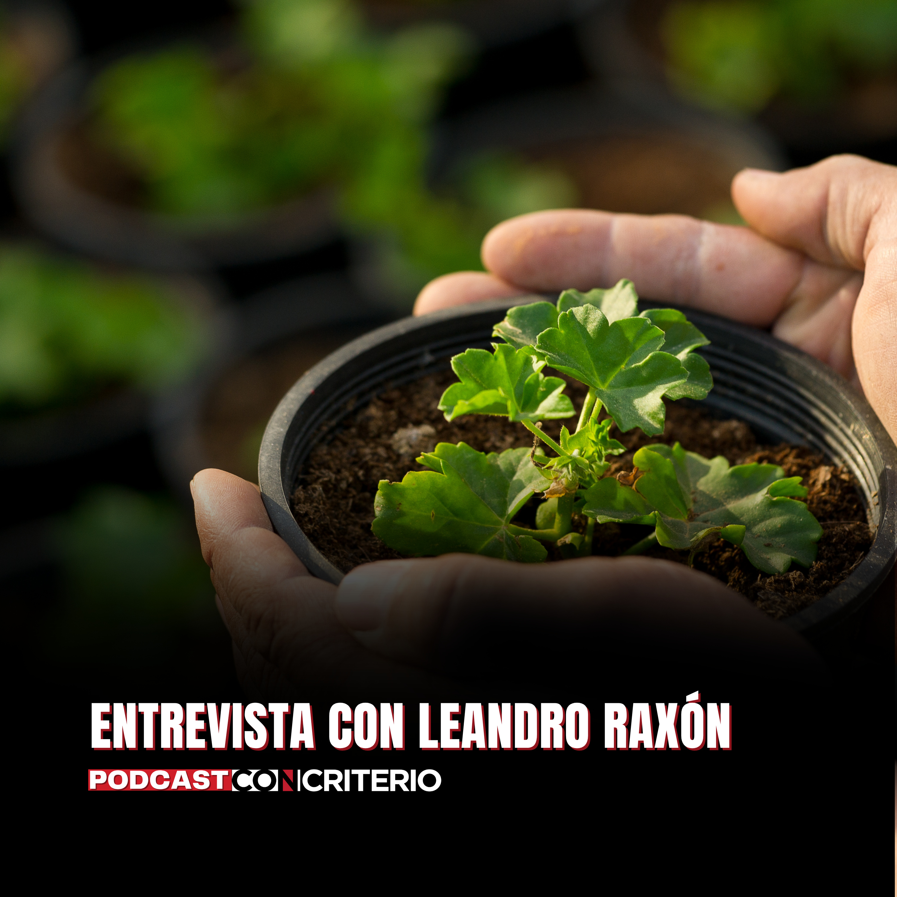 De un correccional a sembrar rosas: Leando reconstruye su vida con esfuerzo y esperanza
