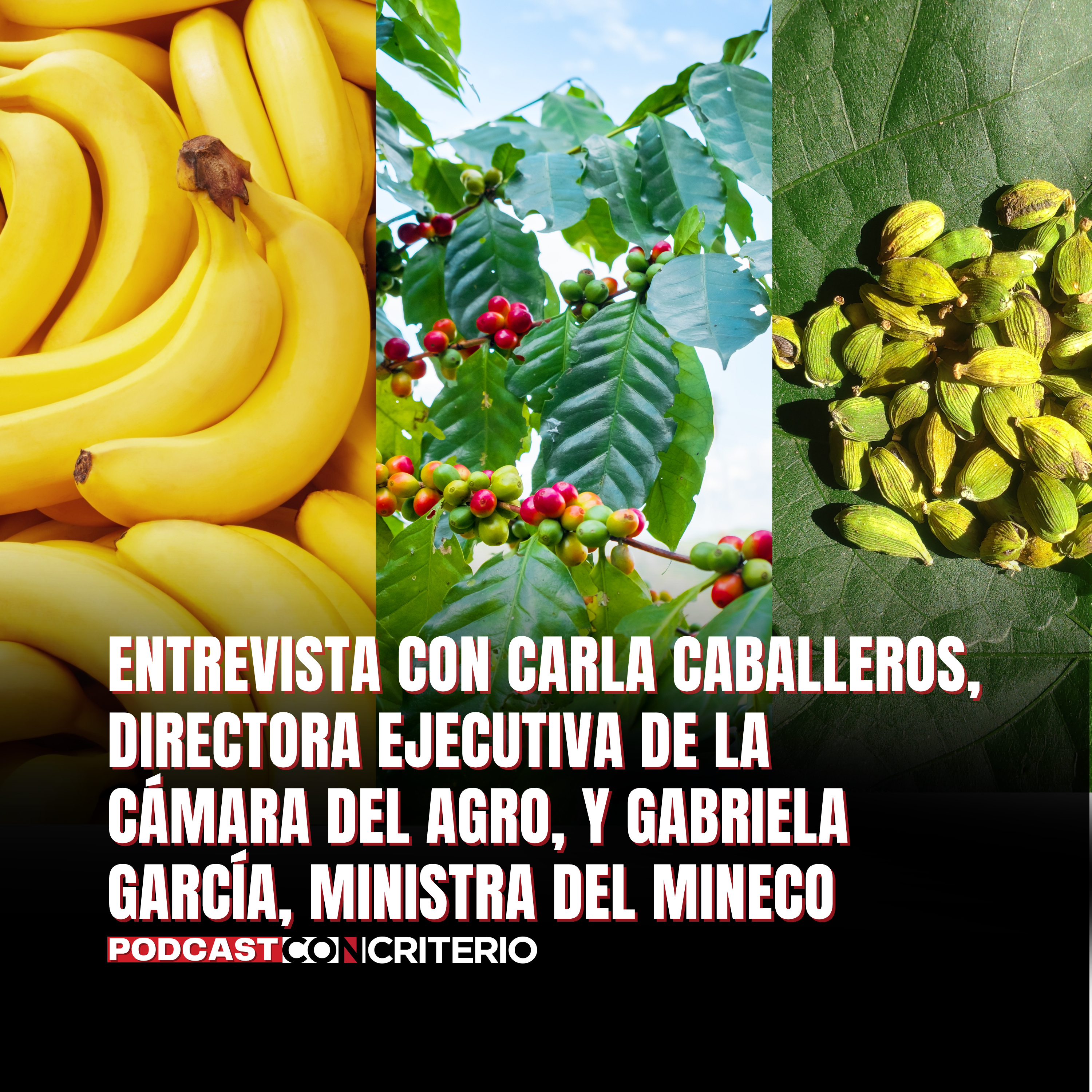 Aranceles Estados Unidos: lo que cambia para Guatemala