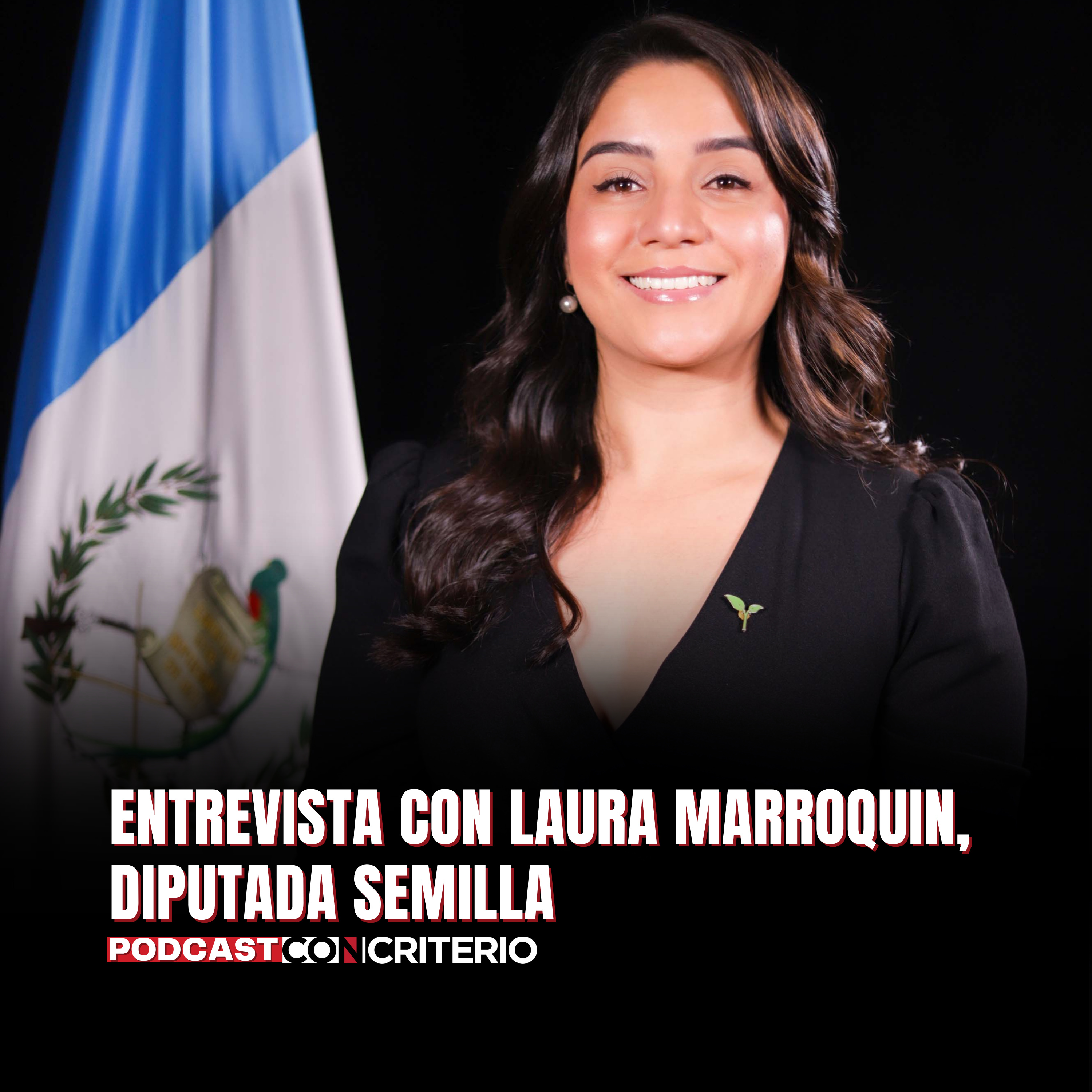 Reformas a las Ley de Alianza Público Privado: análisis técnico, tensiones políticas y la autonomía del Estado