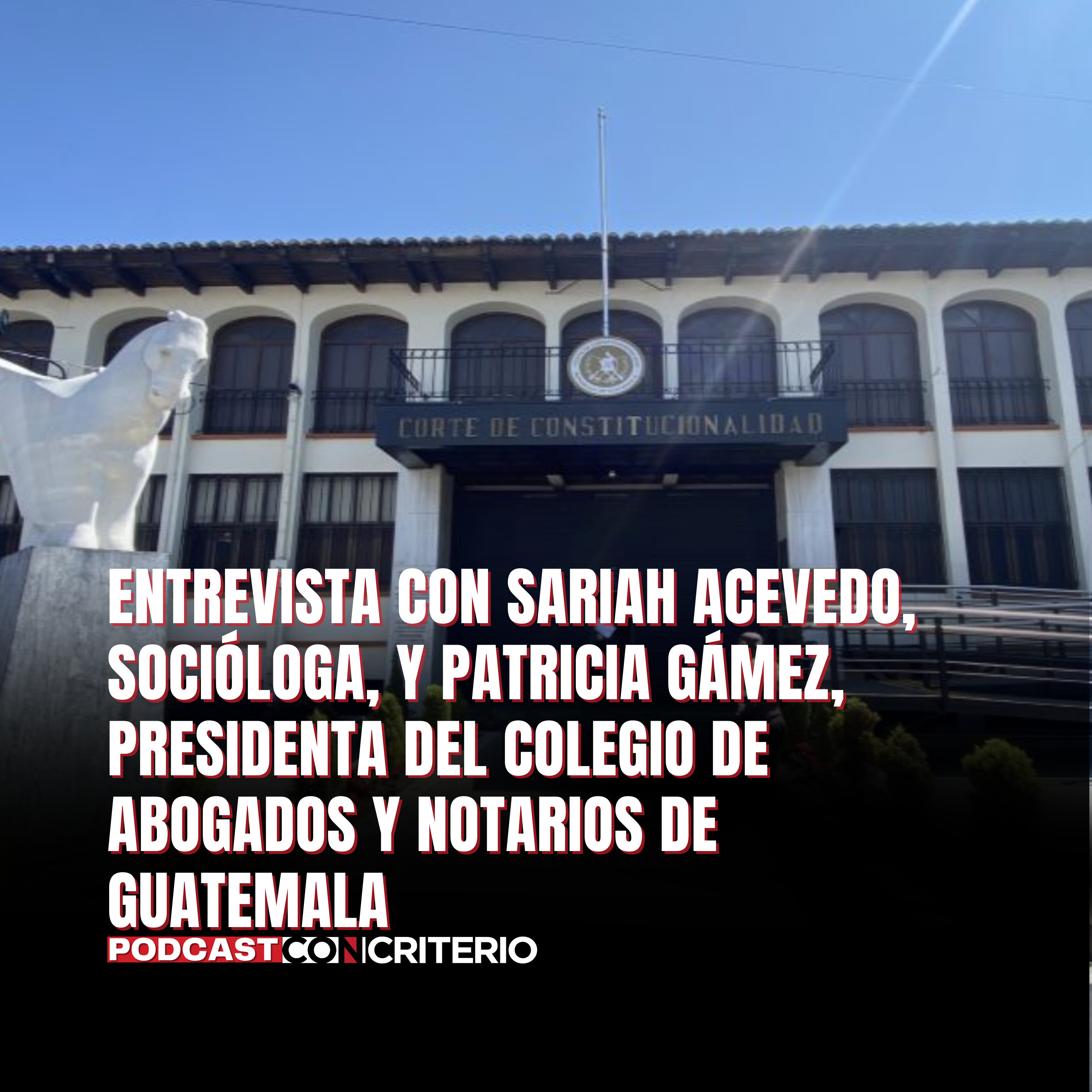 CANG: Acciones legales por exclusión en elección de magistrados constitucionales