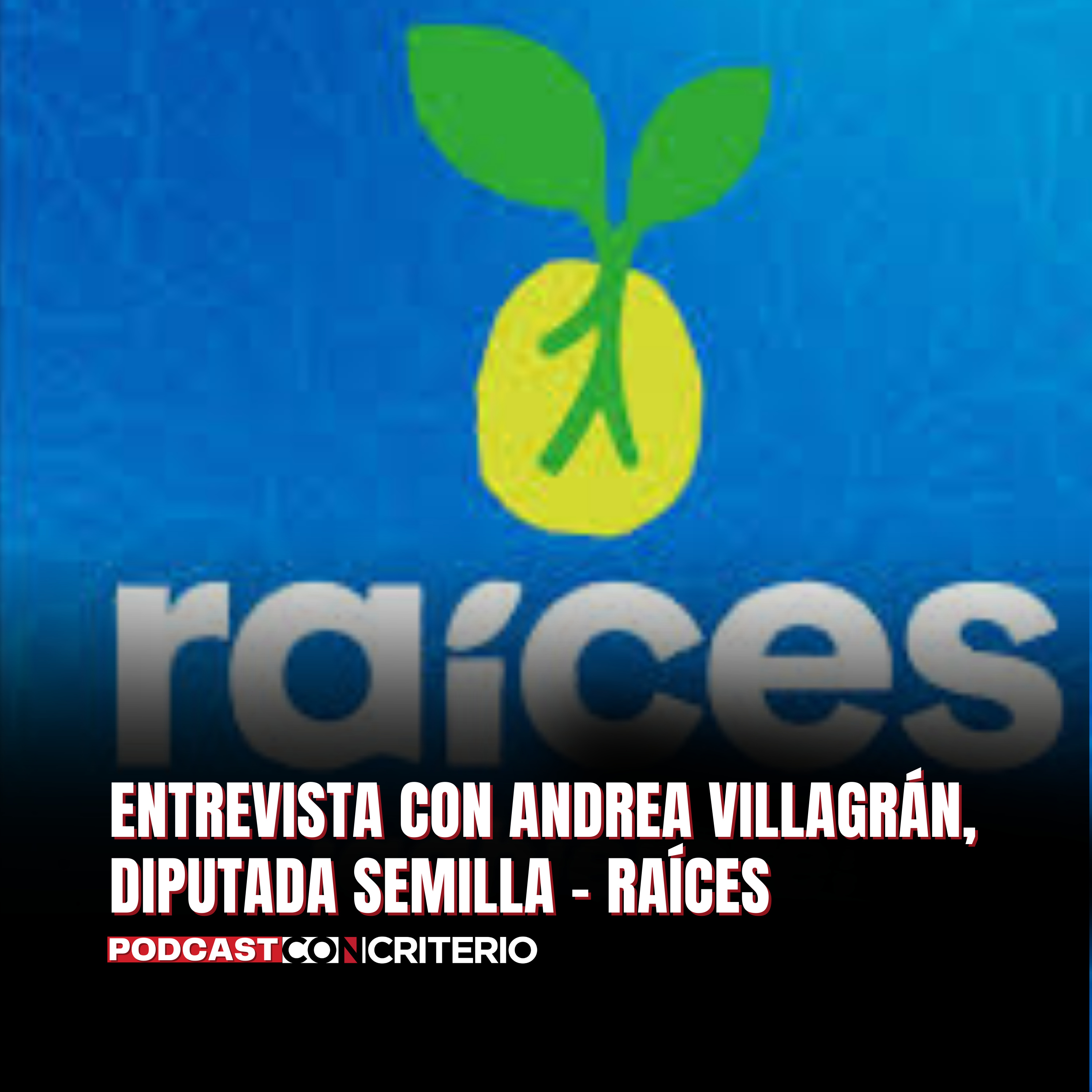 Raíces: partido en formación asegura llegar al 80% de firmas en dos meses