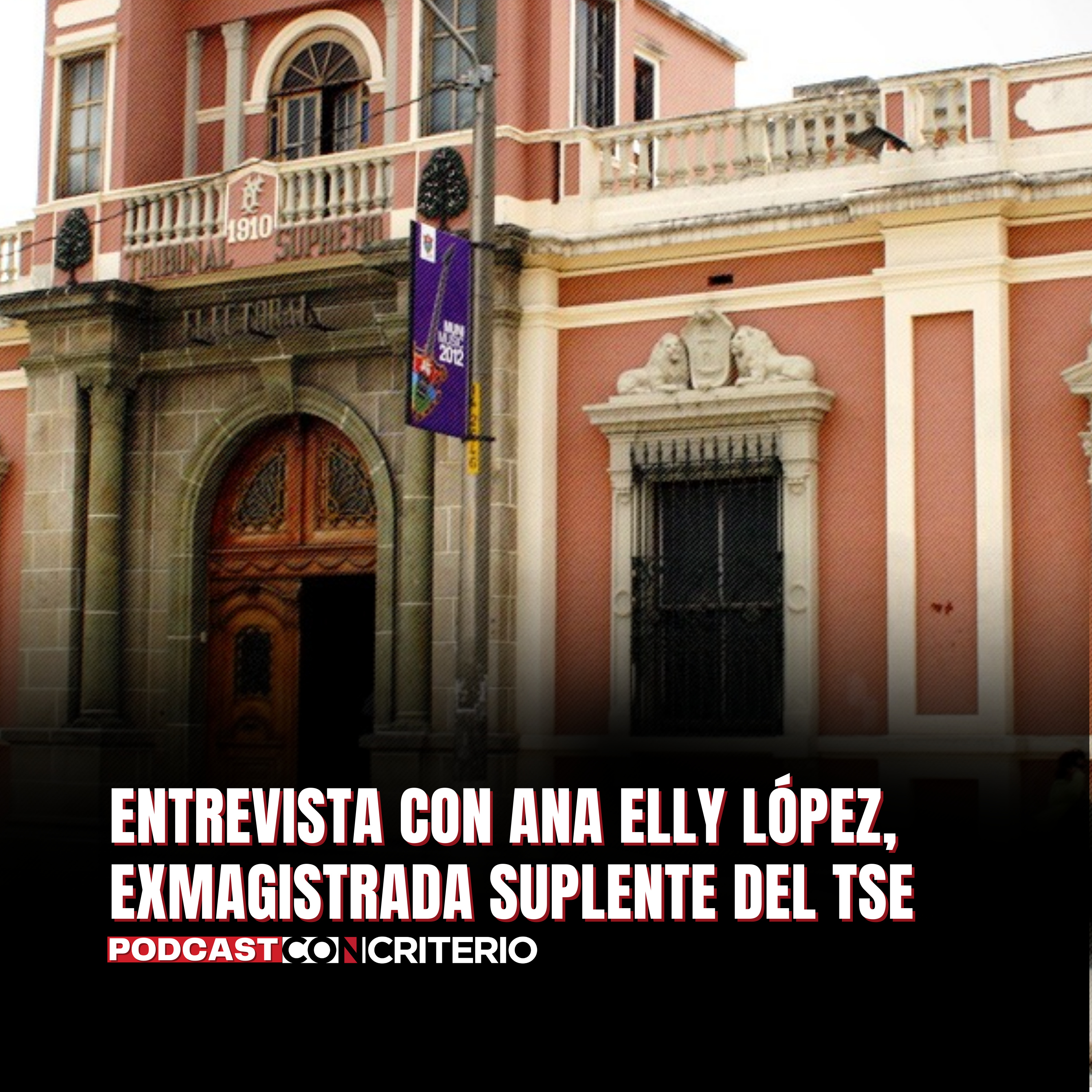 Cancelación de Partido Semilla: nulidades jurídicas y escenarios posibles