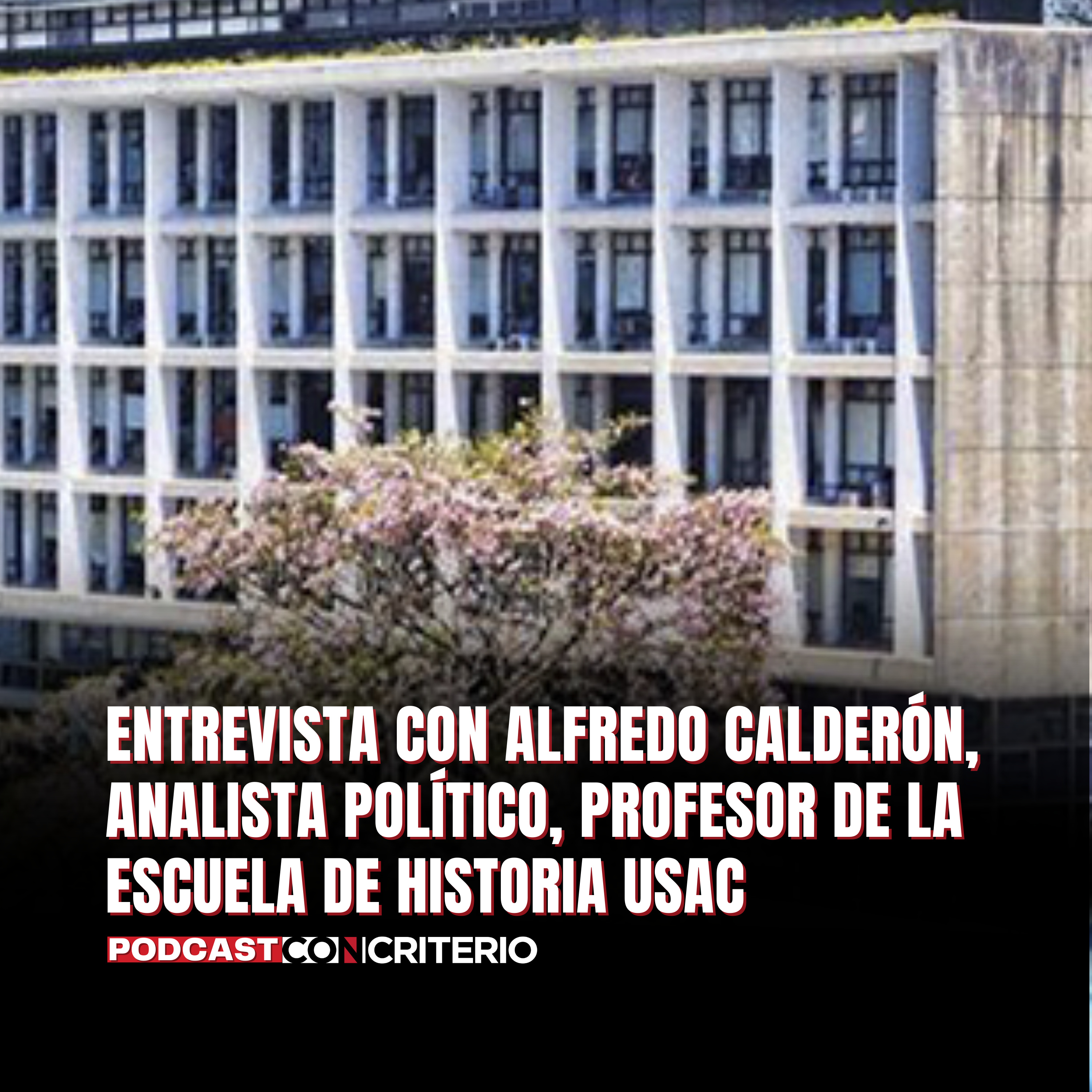 Elección municipal: candidatos, voto y desgaste político en análisis
