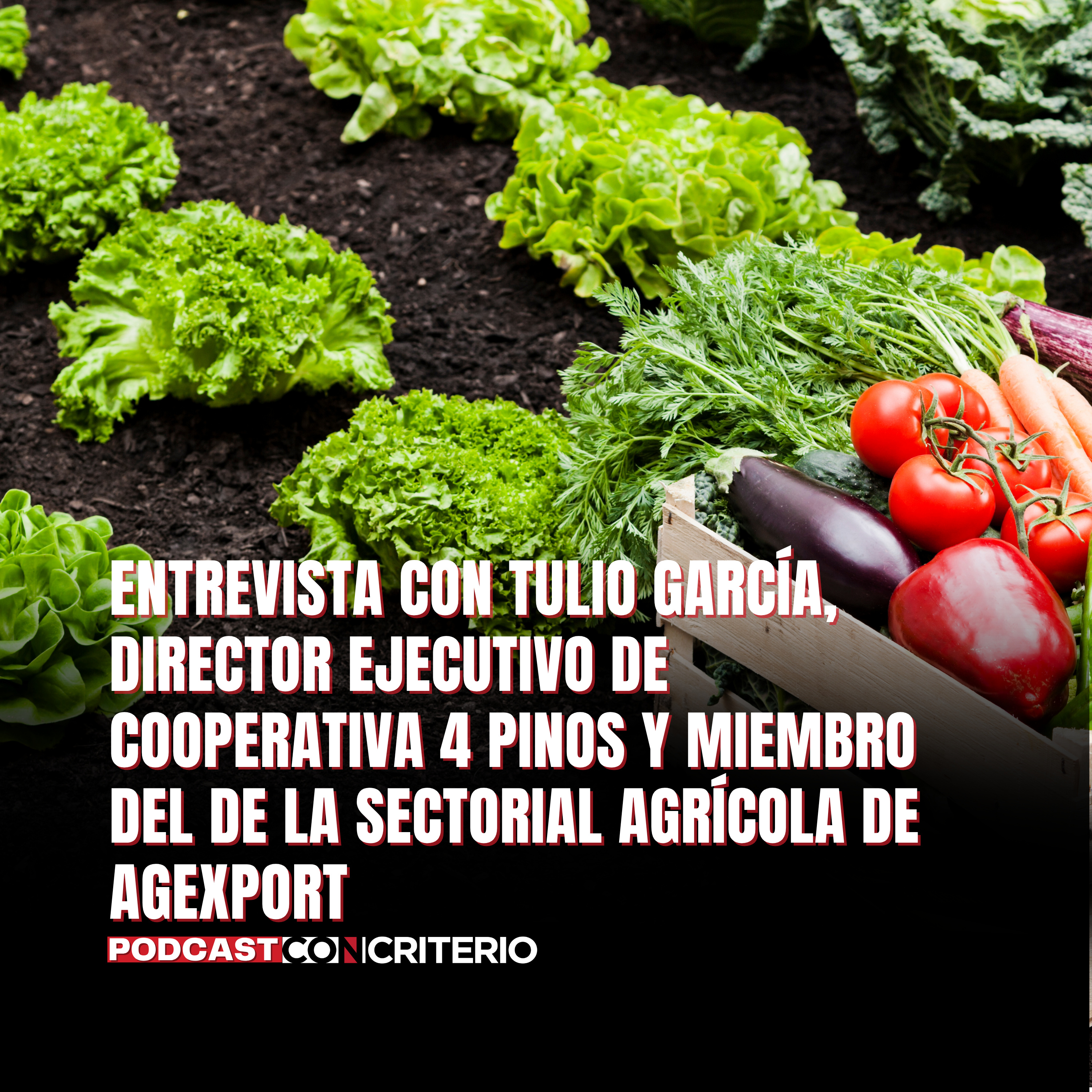 Producción agrícola bajo presión por sequías, infraestructura deficiente y altos costos económicos
