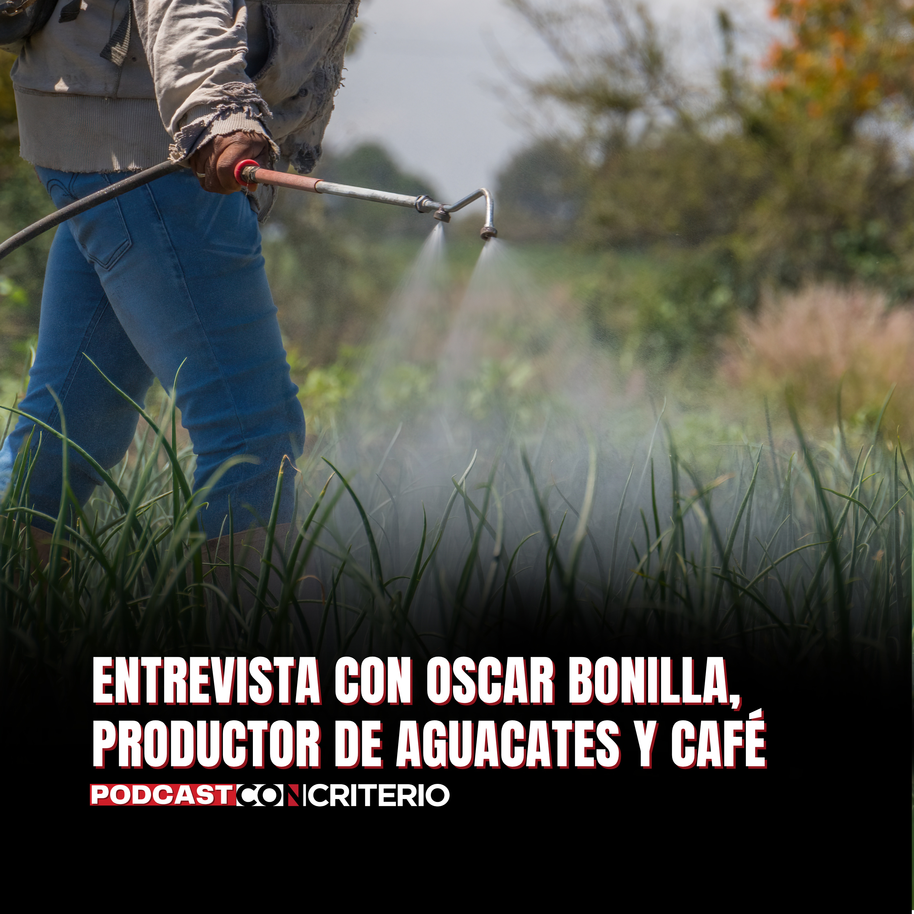 Fertilizantes orgánicos: ¿pueden reemplazar un modelo cuestionado en el agro guatemalteco?