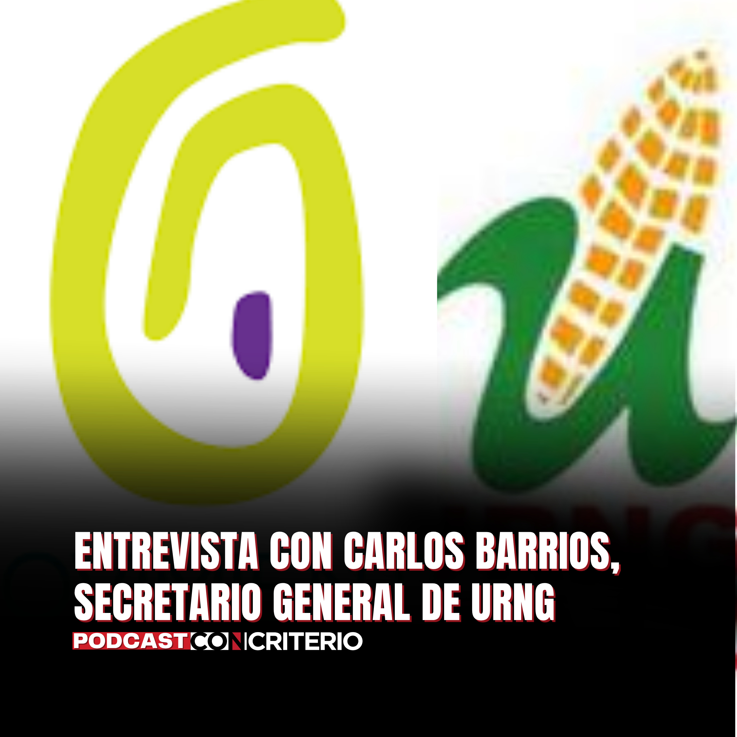 ¿Puede surgir una nueva alianza política? Semilla dialoga con sectores de URNG episode artwork