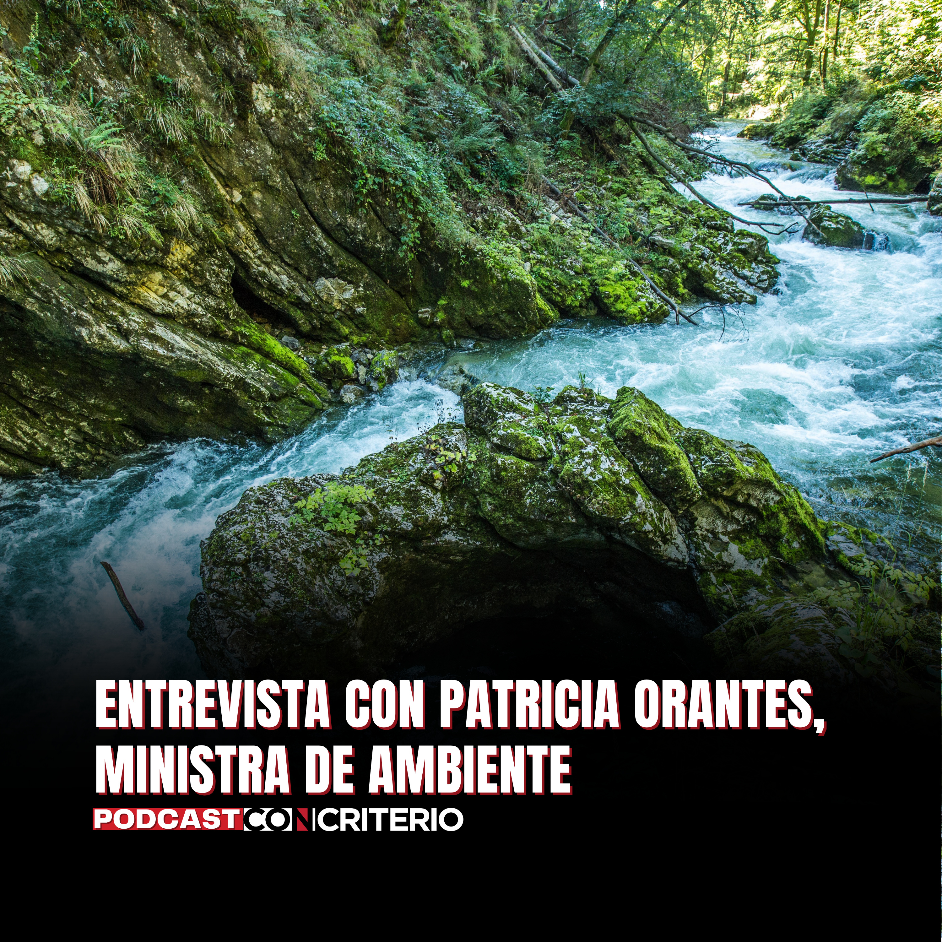 Propuesta de Ley de Aguas: claves, retos políticos y efectos para Guatemala episode artwork