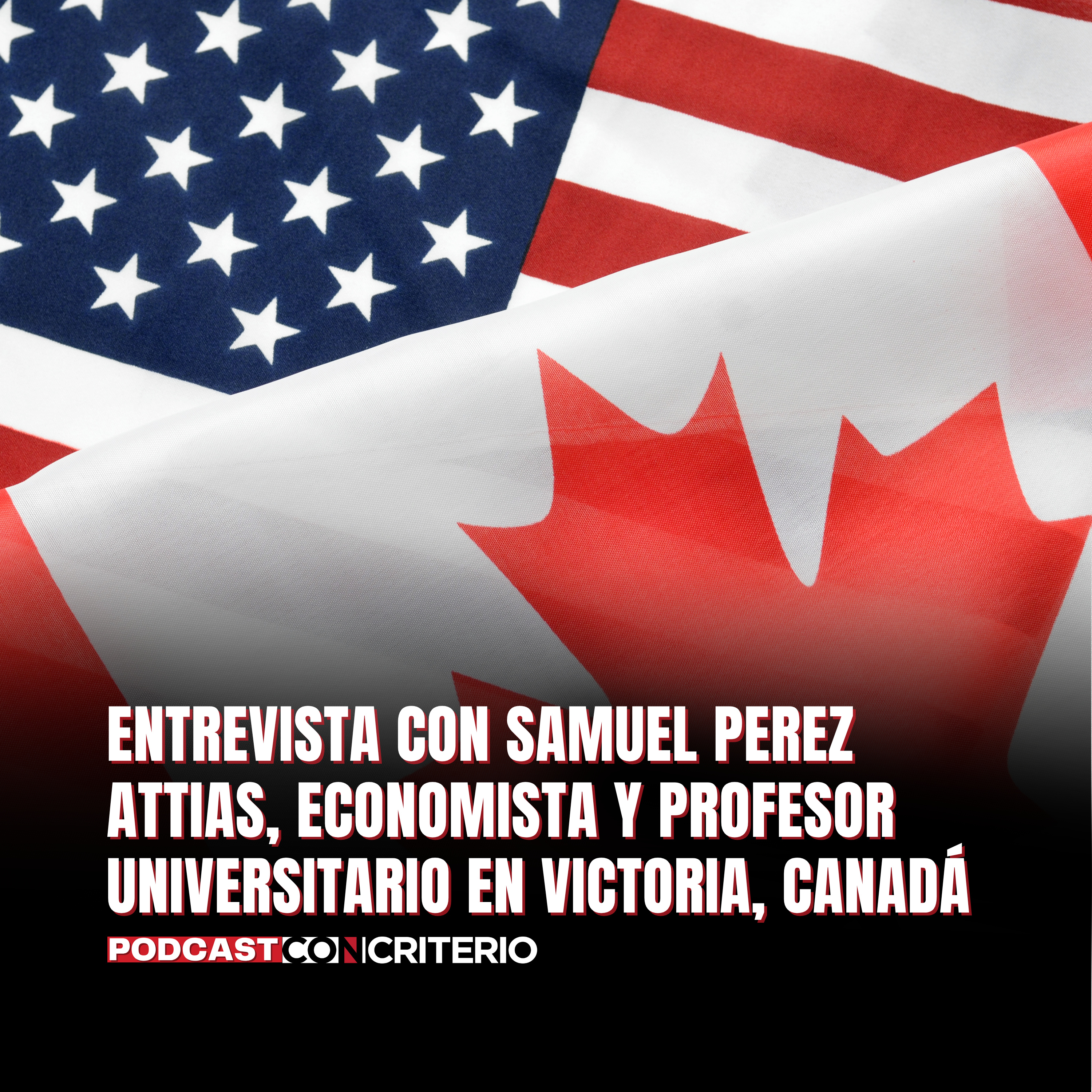 Canadá busca nuevos mercados ante la presión comercial de Estados Unidos episode artwork