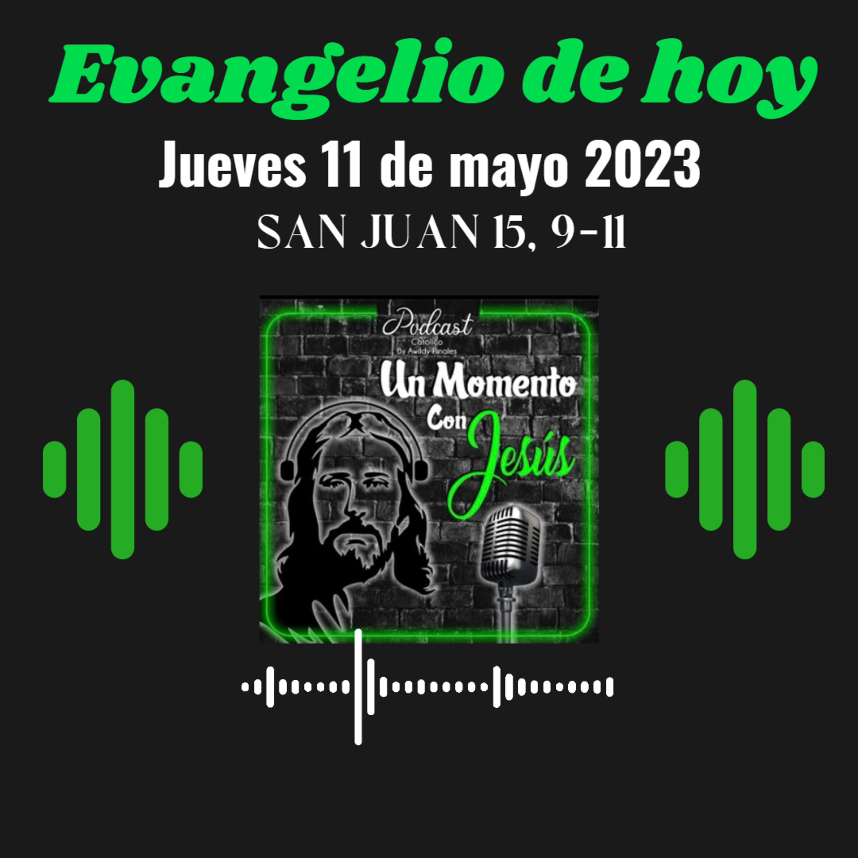 Evangelio jueves 11 de mayo 2023 (Permanezcan en mi amor, para que su alegría llegue a plenitud) episode artwork