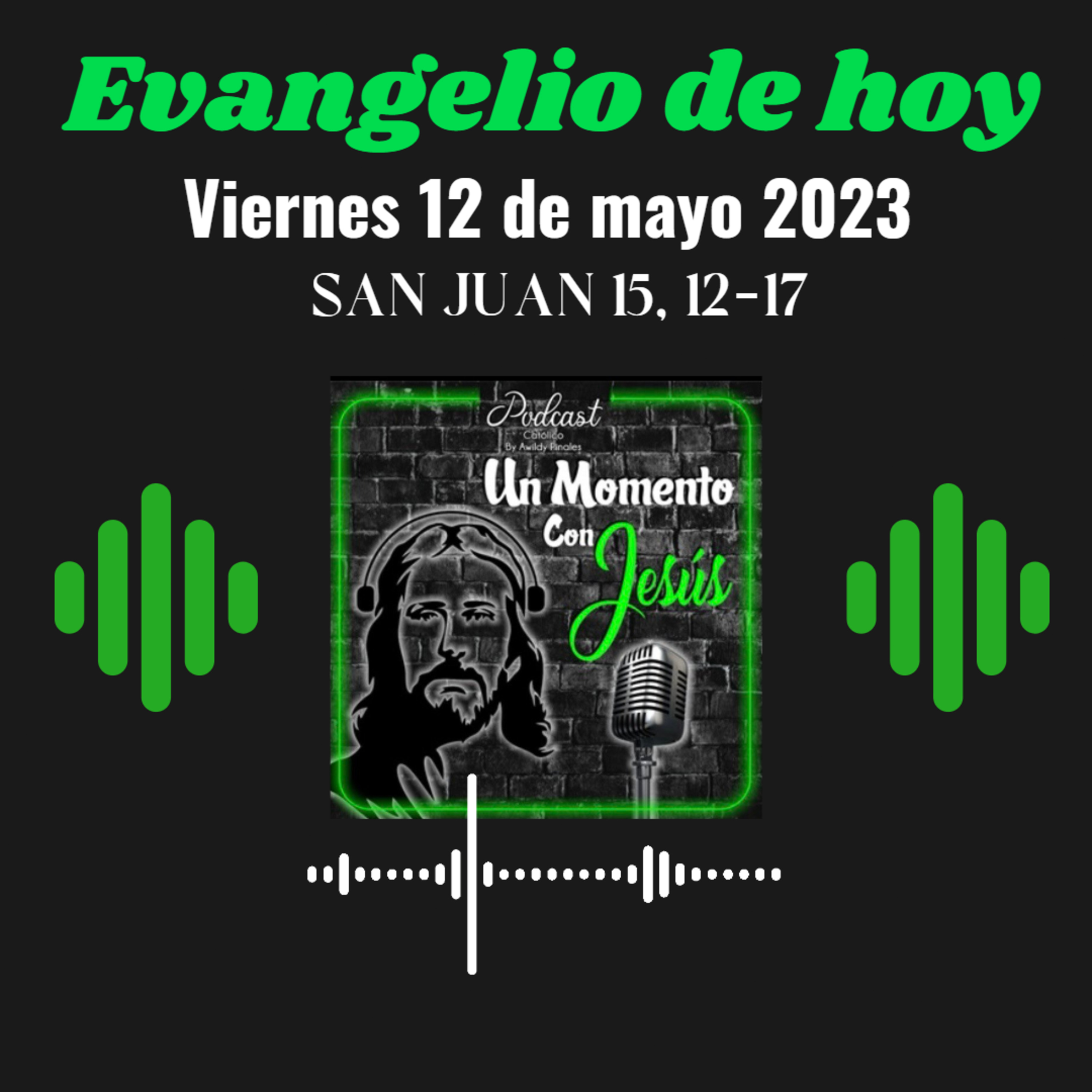 Evangelio viernes 12 de mayo 2023 (Esto les mando: que se amen unos a otros) episode artwork