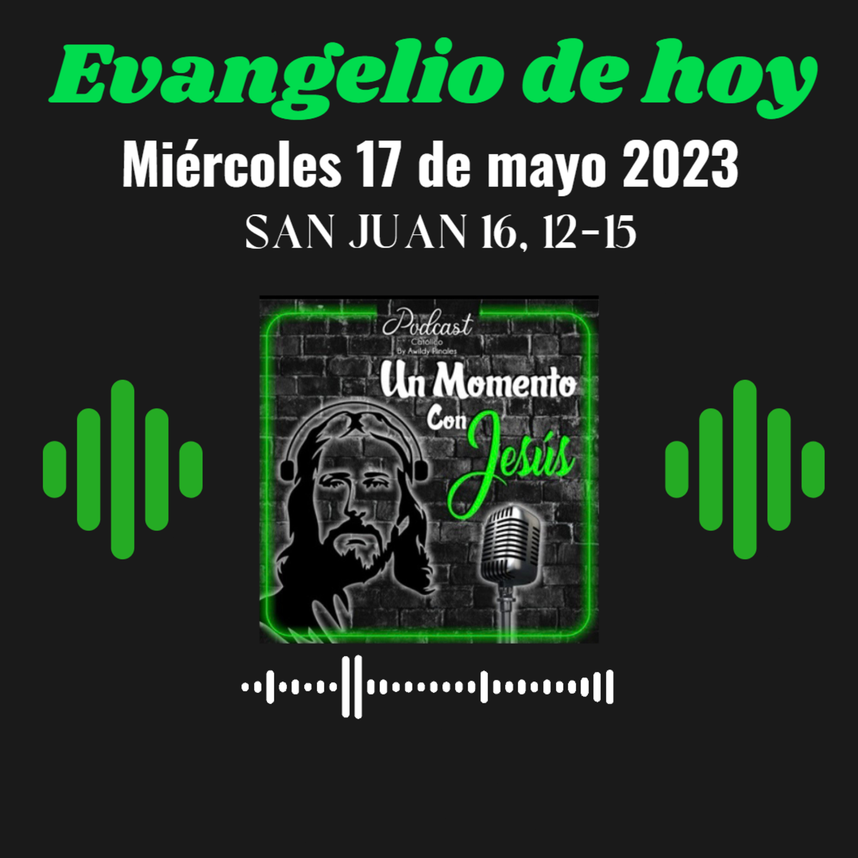 Evangelio miércoles 17 de mayo 2023 (El Espíritu de la verdad los guiará hasta la verdad plena) episode artwork