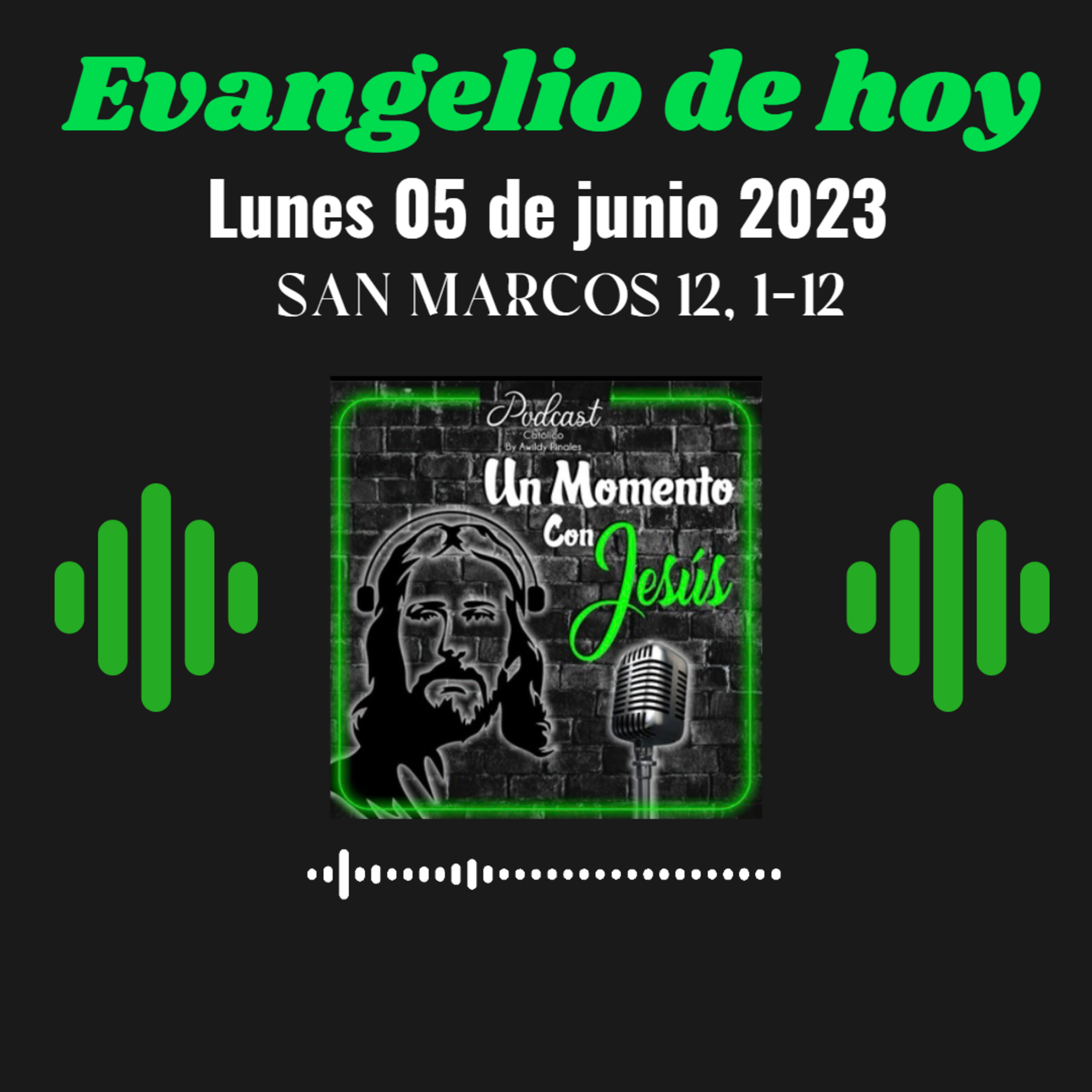 Evangelio lunes 05 de junio 2023 (Agarraron al hijo querido, lo mataron y lo arrojaron fuera de la viña) episode artwork