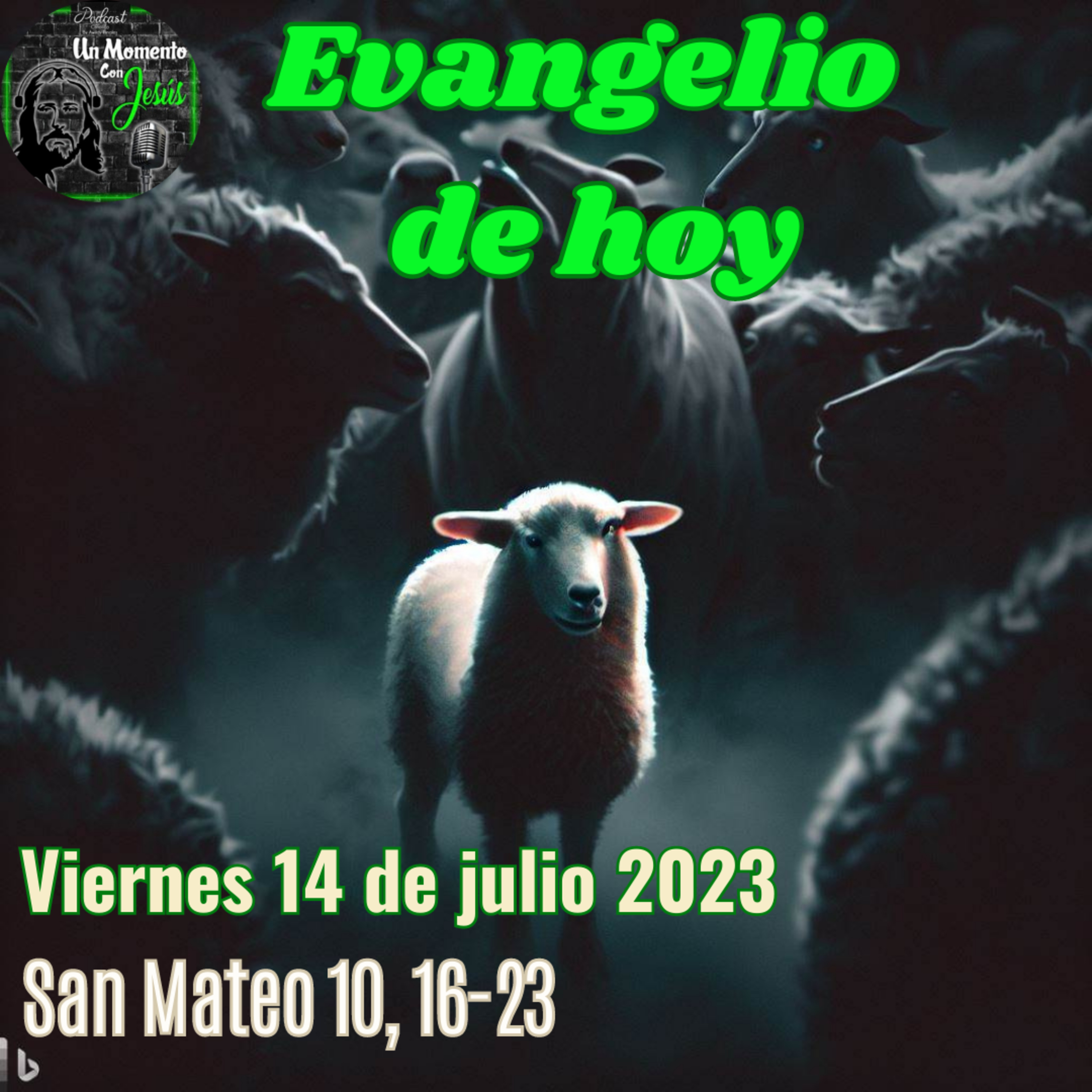 Evangelio viernes 14 de julio 2023 (Como ovejas en medio de lobos) episode artwork