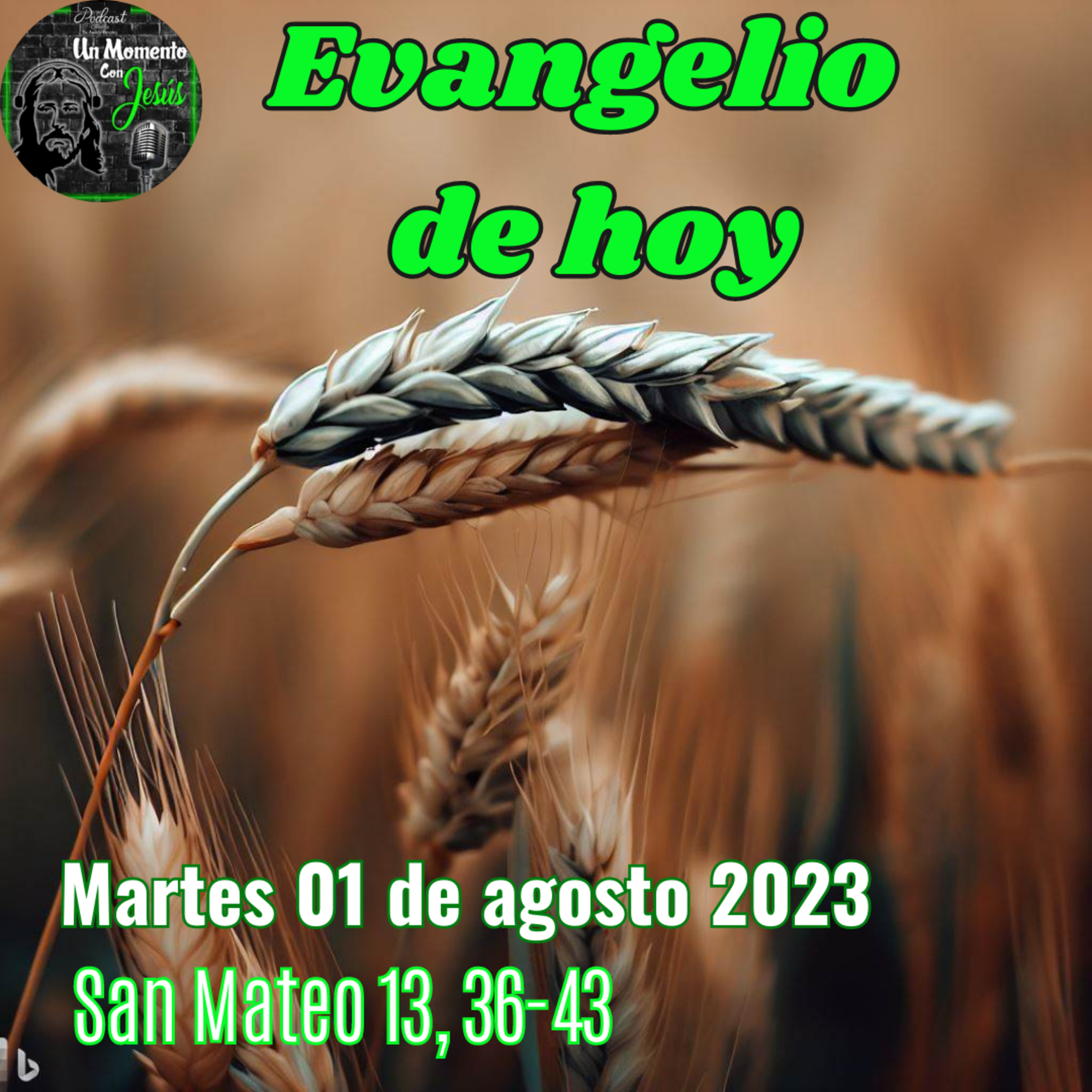 Evangelio martes 01 de agosto 2023 | ¡El que tenga oídos, que oiga! episode artwork