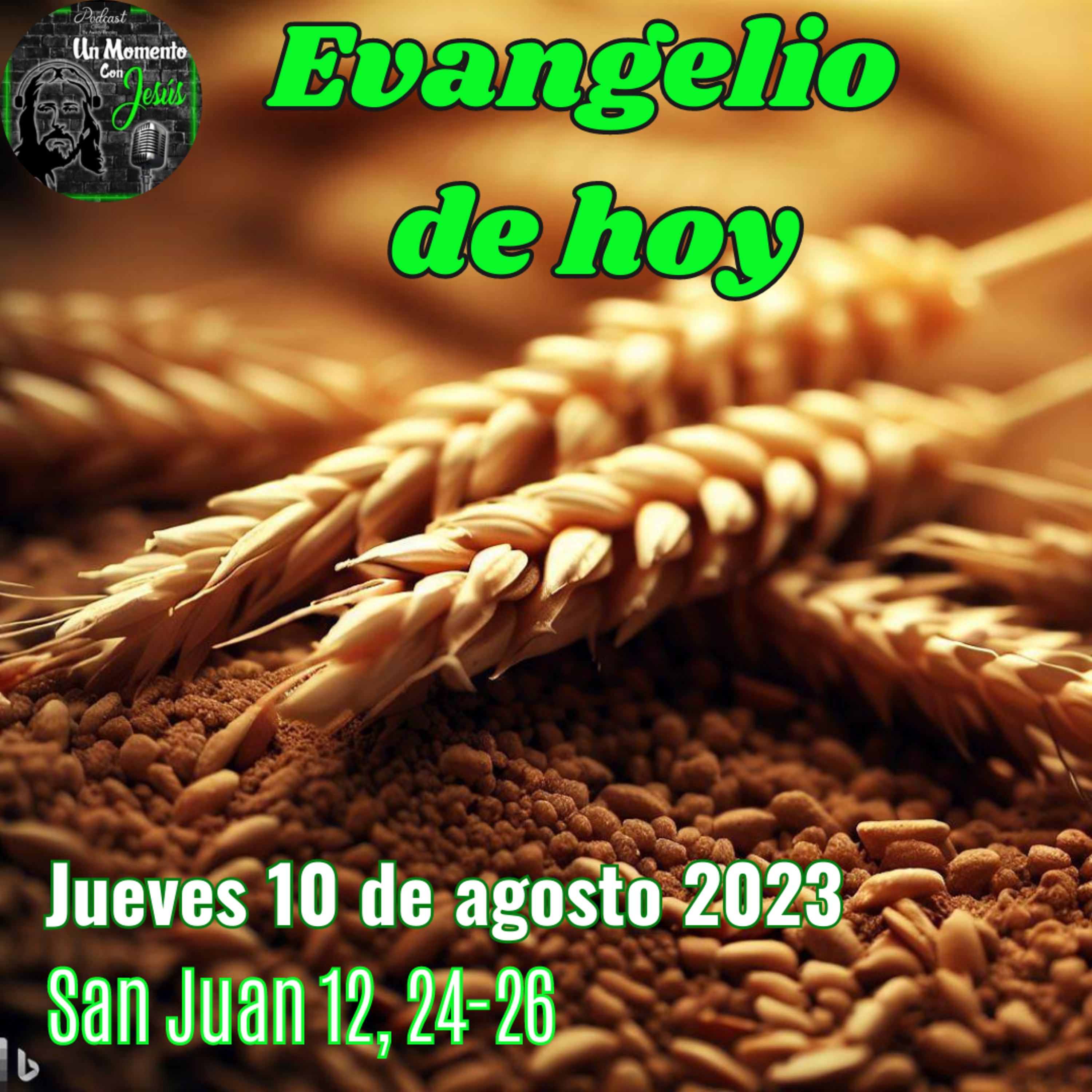 Evangelio de hoy jueves 10 de agosto 2023 | El que quiera servirme que me siga episode artwork