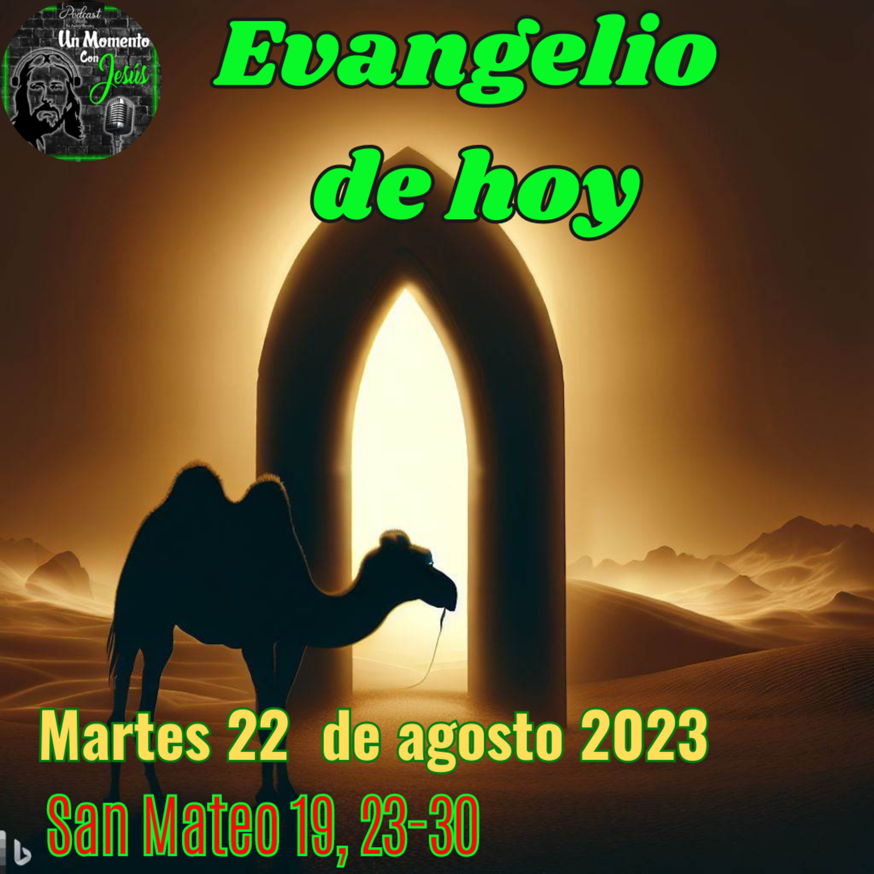 Evangelio martes 22 de agosto 2023 | Hemos dejado todo y te hemos seguido episode artwork