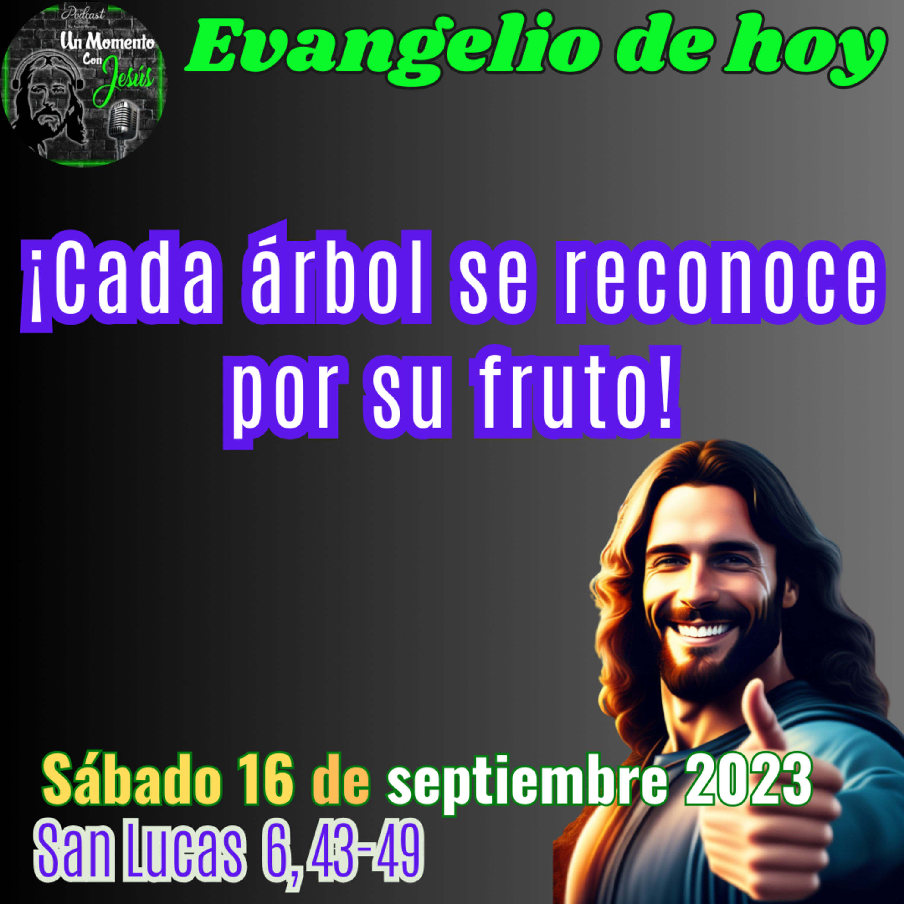 Evangelio sábado 16 de septiembre 2023 | El árbol y sus frutos episode artwork