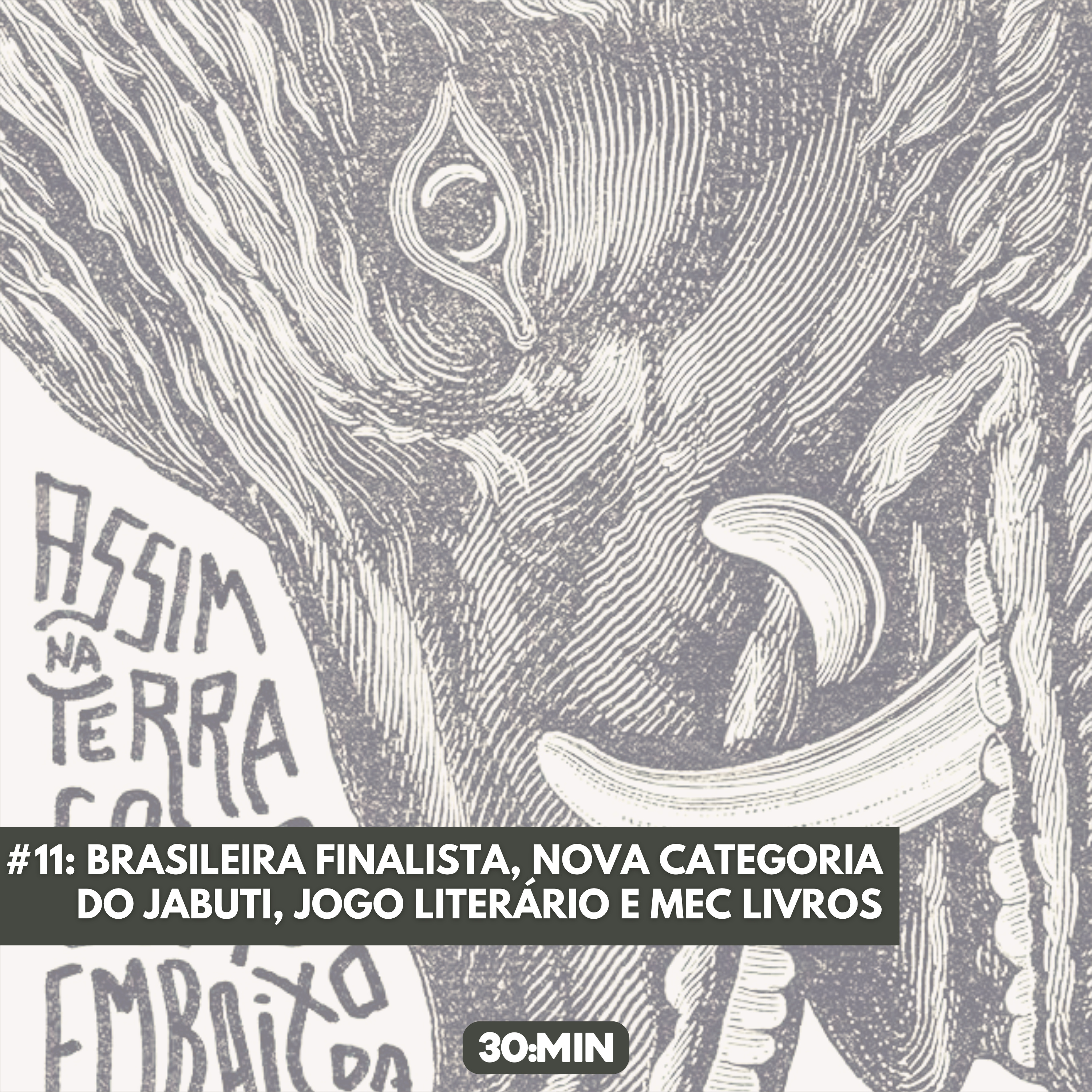 #11: Brasileira finalista, nova categoria do Jabuti, jogo literário e MEC Livros