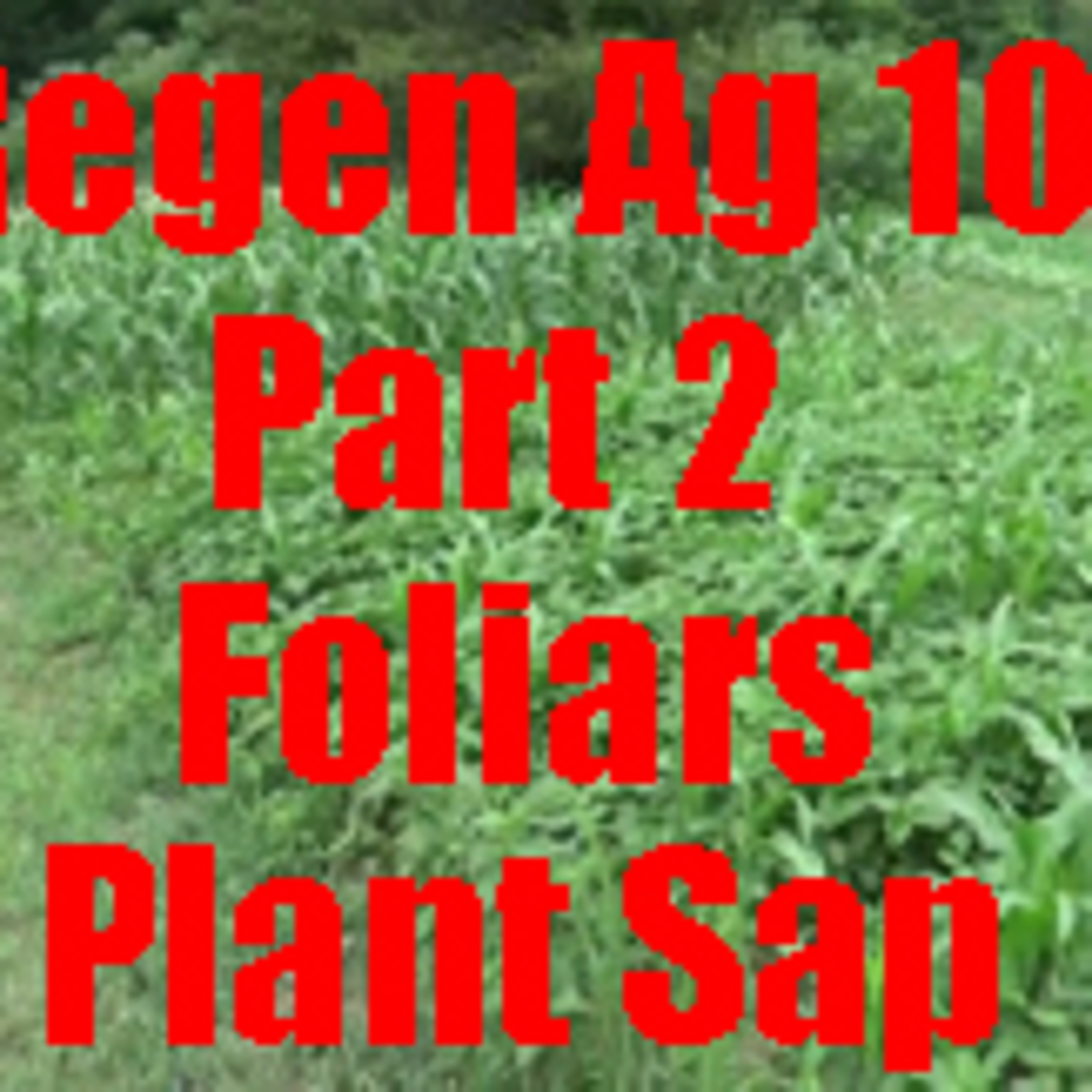 2024 Regenerative Ag School Series Cover Cropping Part 2 #regenerativeagriculture #nutrientdense