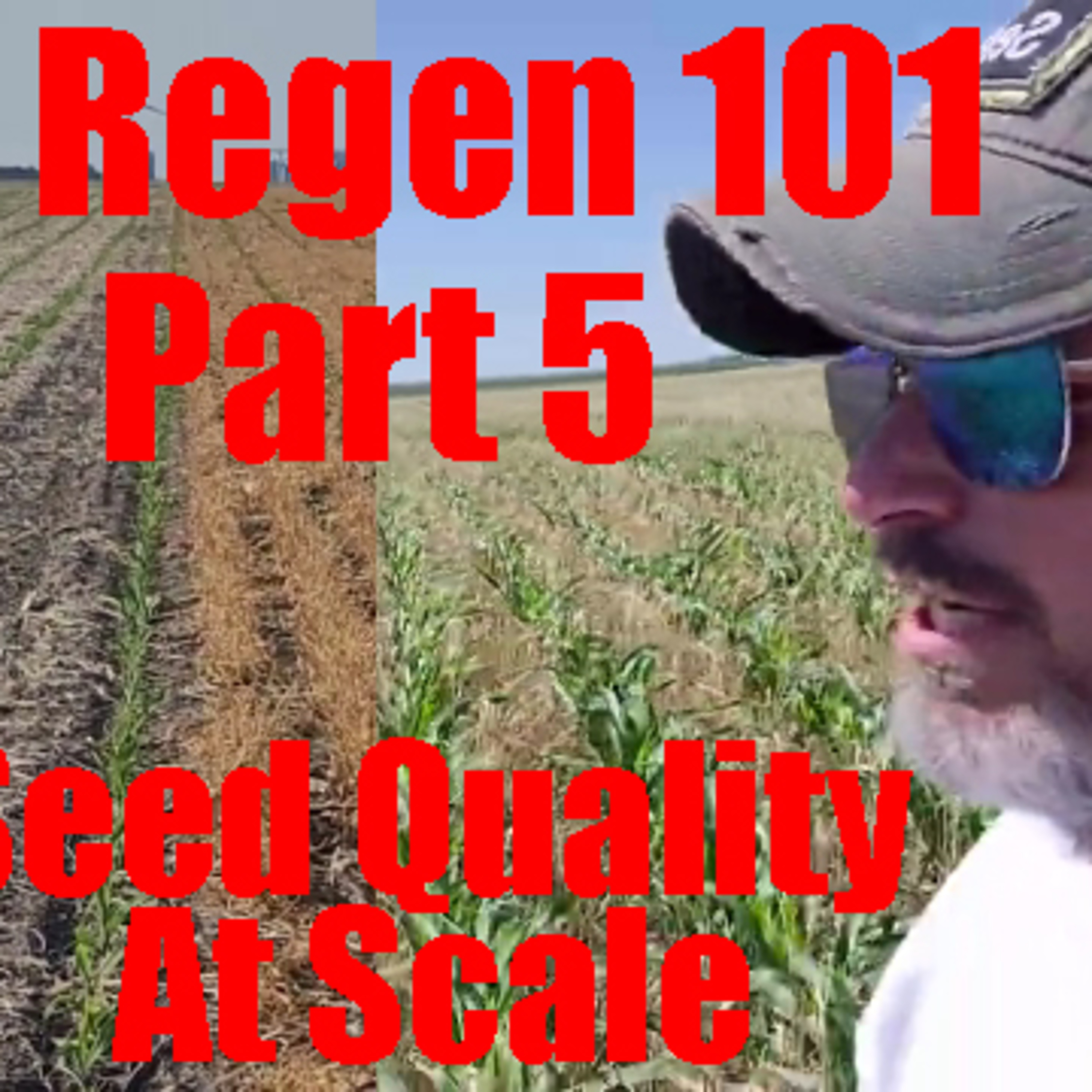 2024 Regenerative Ag School Series Cover Cropping Part 5 #podcast #documentary