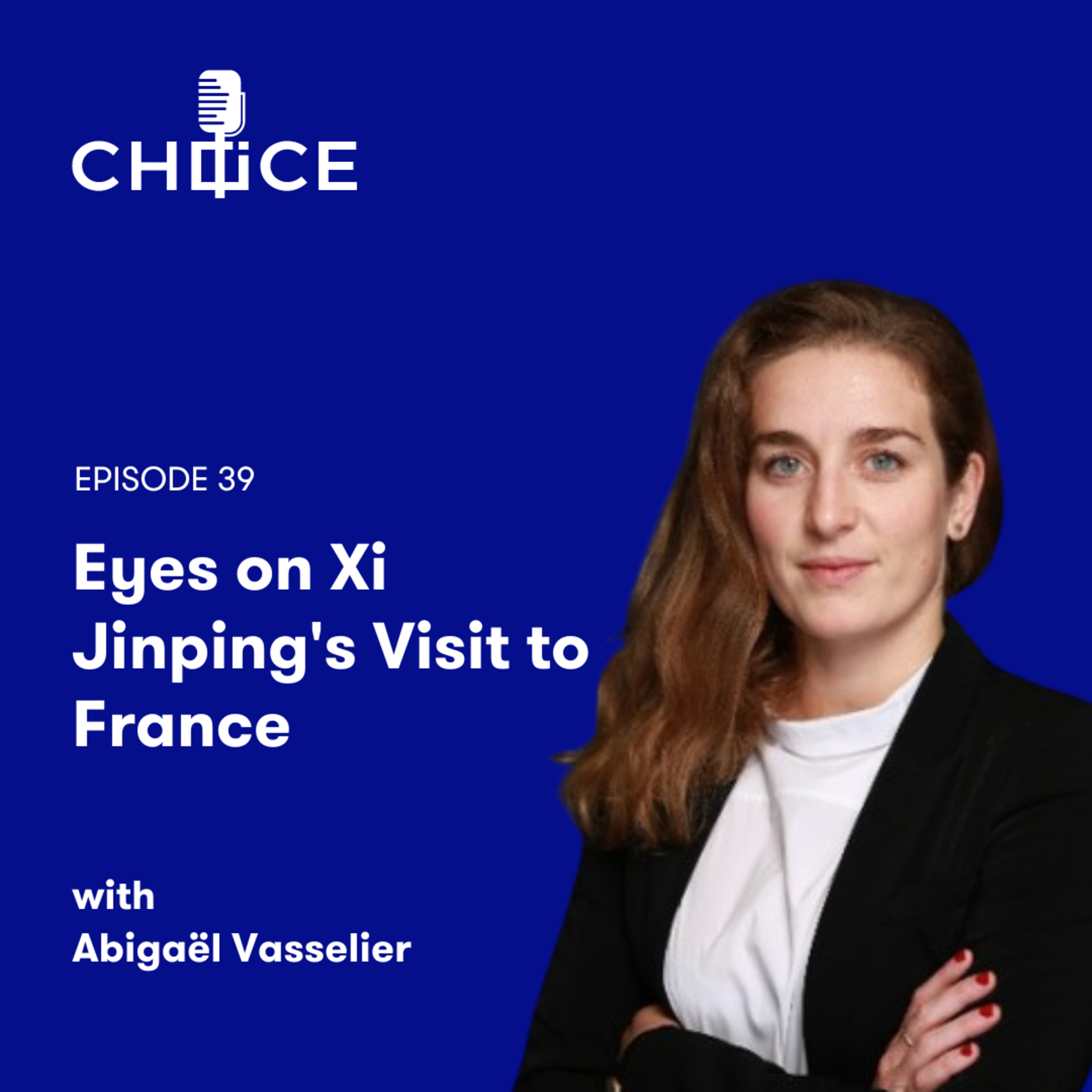 Voice for CHOICE (China Observers in Central and Eastern Europe)