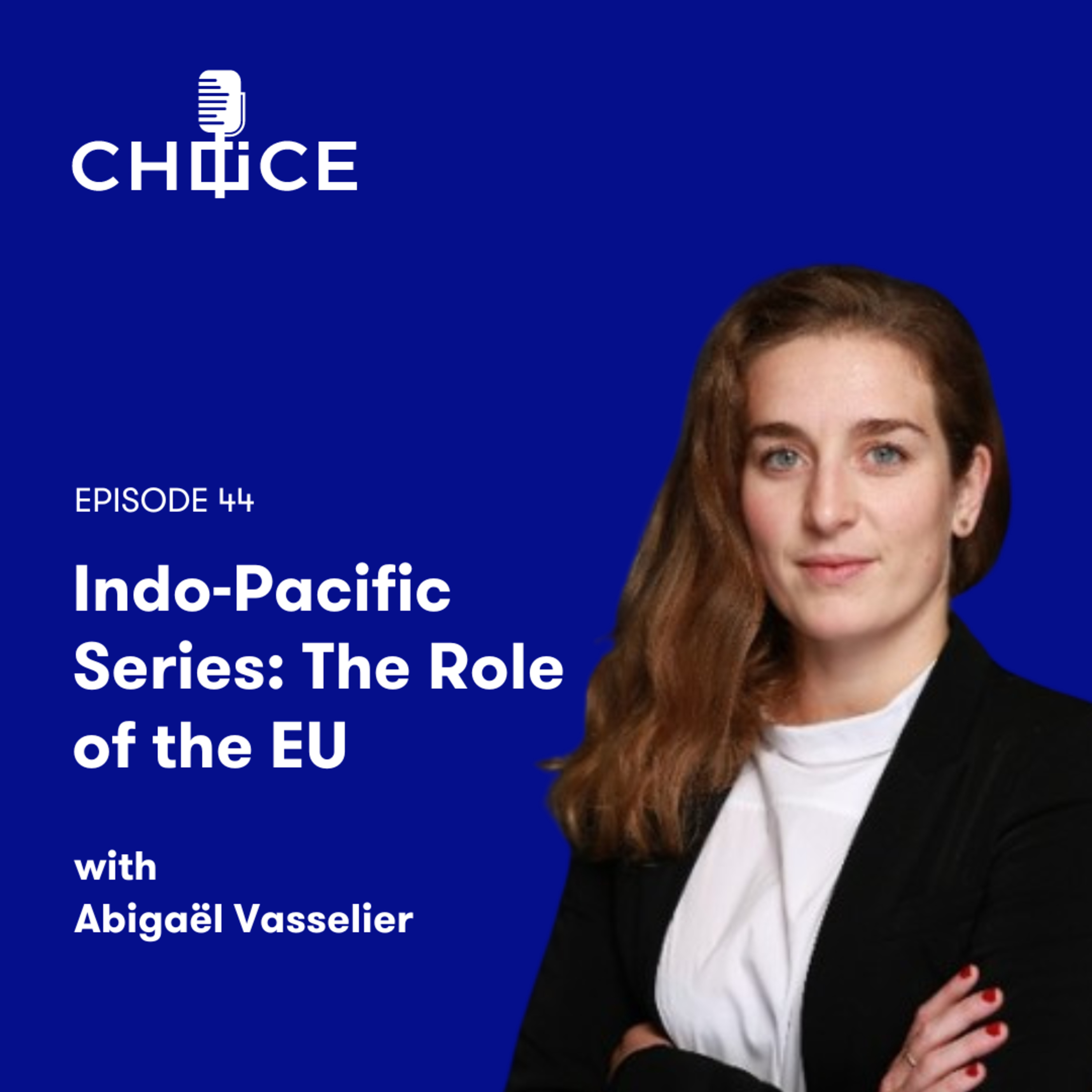 Voice for CHOICE (China Observers in Central and Eastern Europe)