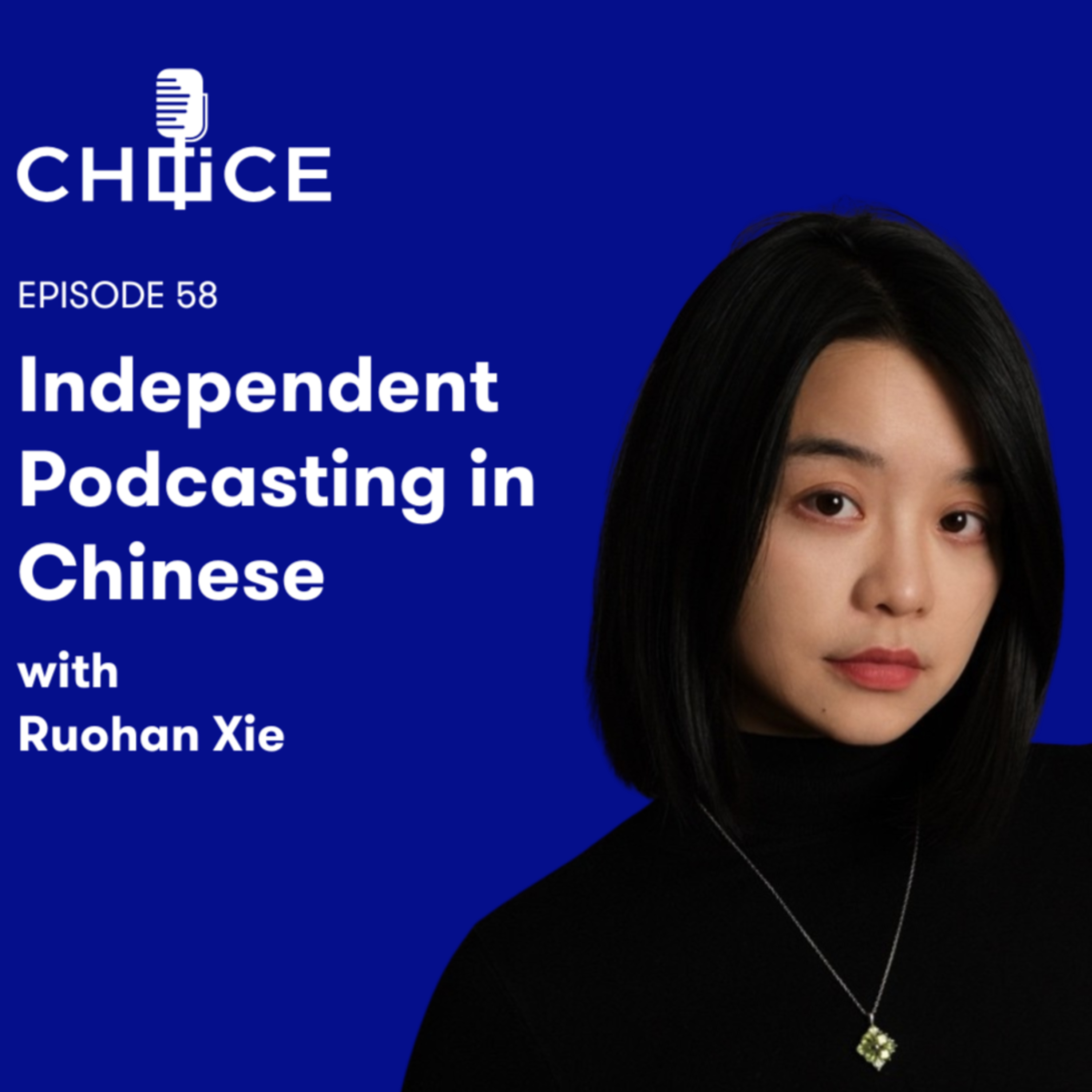 Voice for CHOICE (China Observers in Central and Eastern Europe)