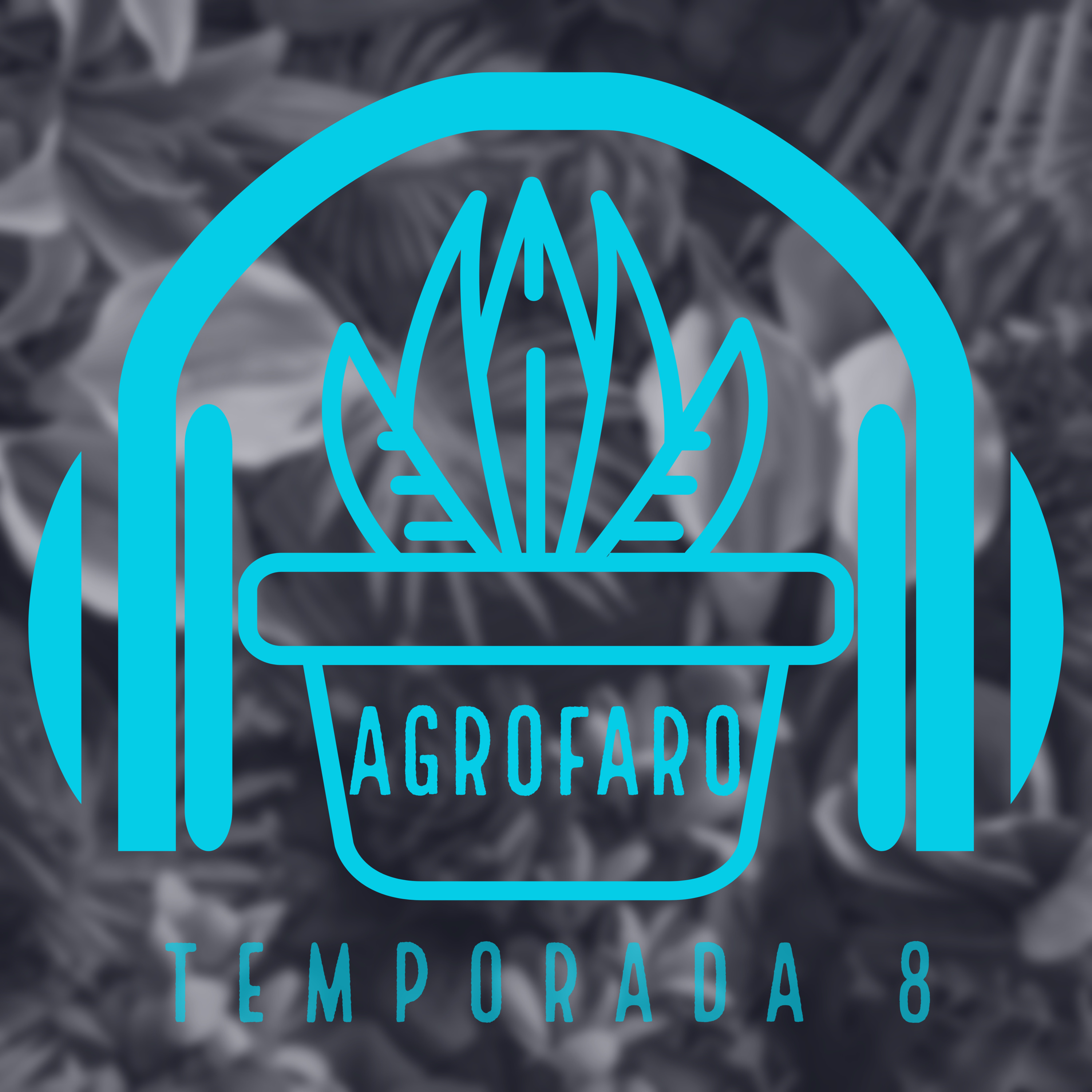 AGROFARO RADIO