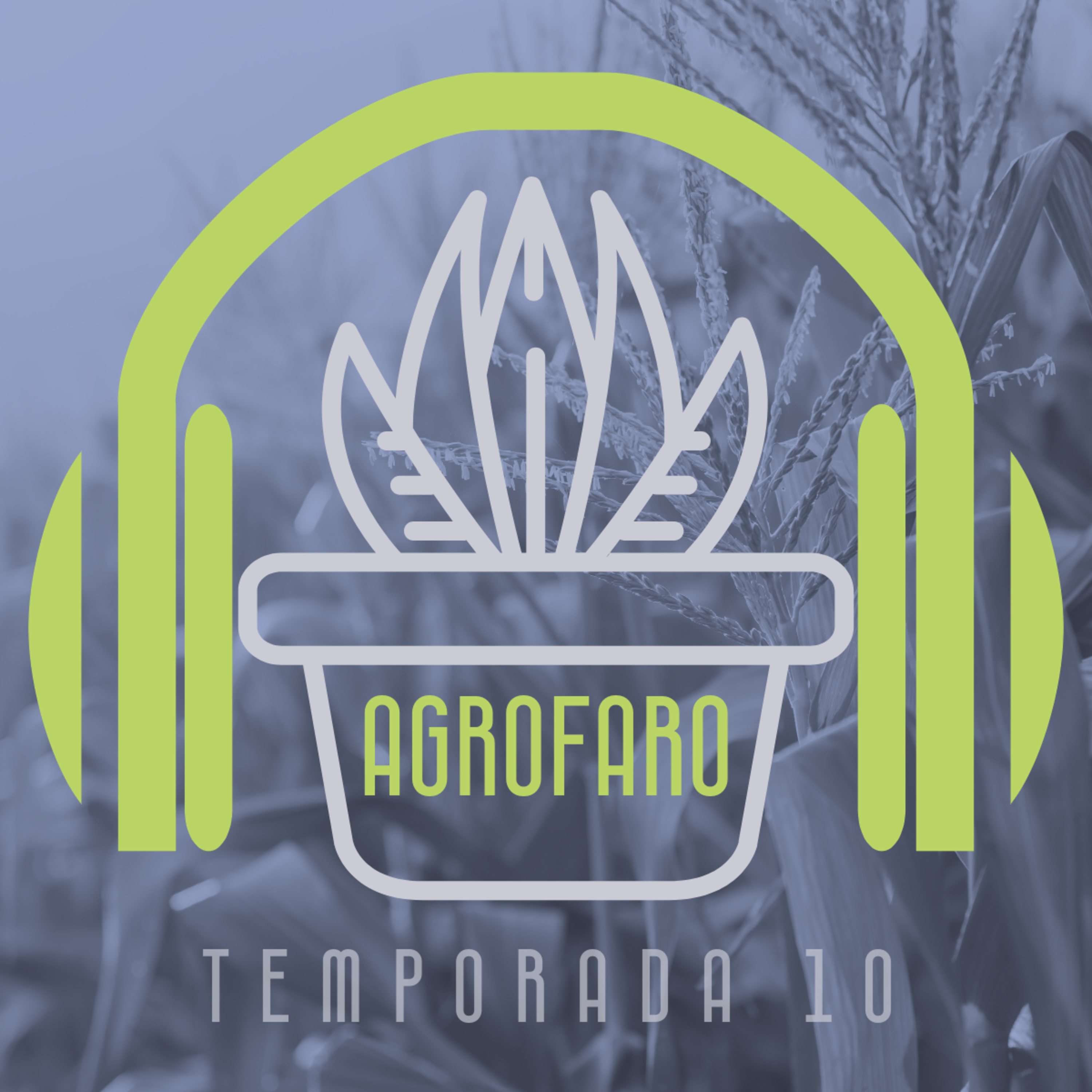 AGROFARO RADIO