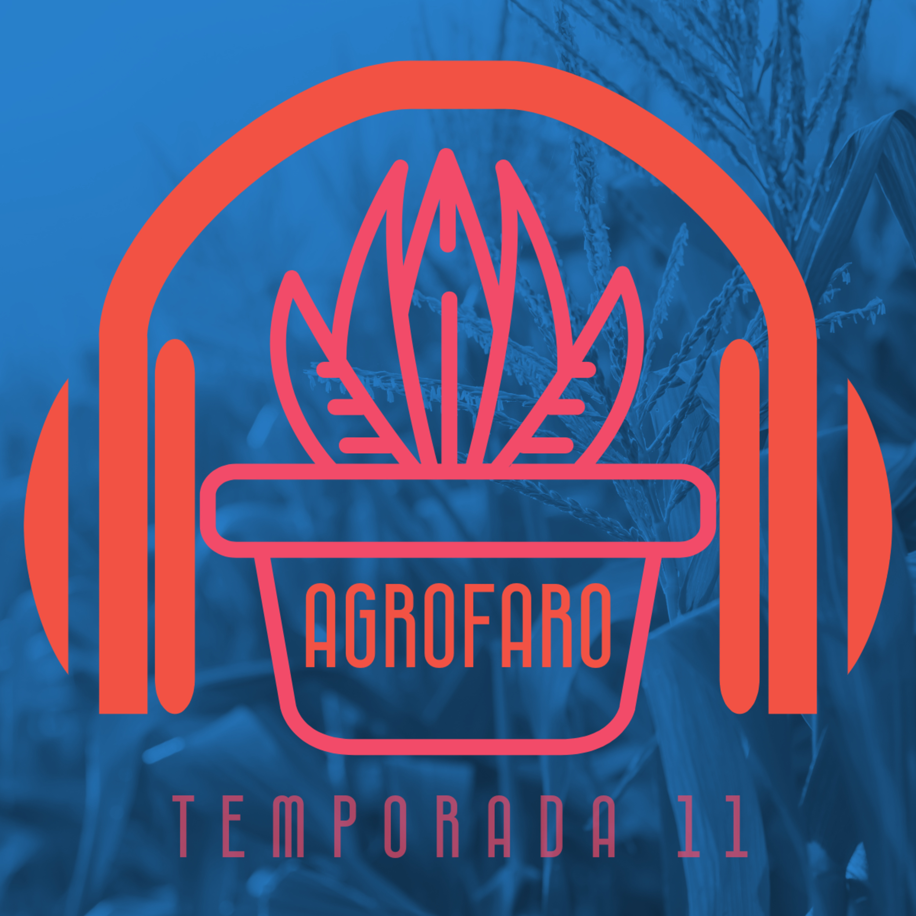 AgroFaro #10 T11 - Vertientes Agropecuarias AgroFaro #10 T11 - Vertientes Agropecuarias