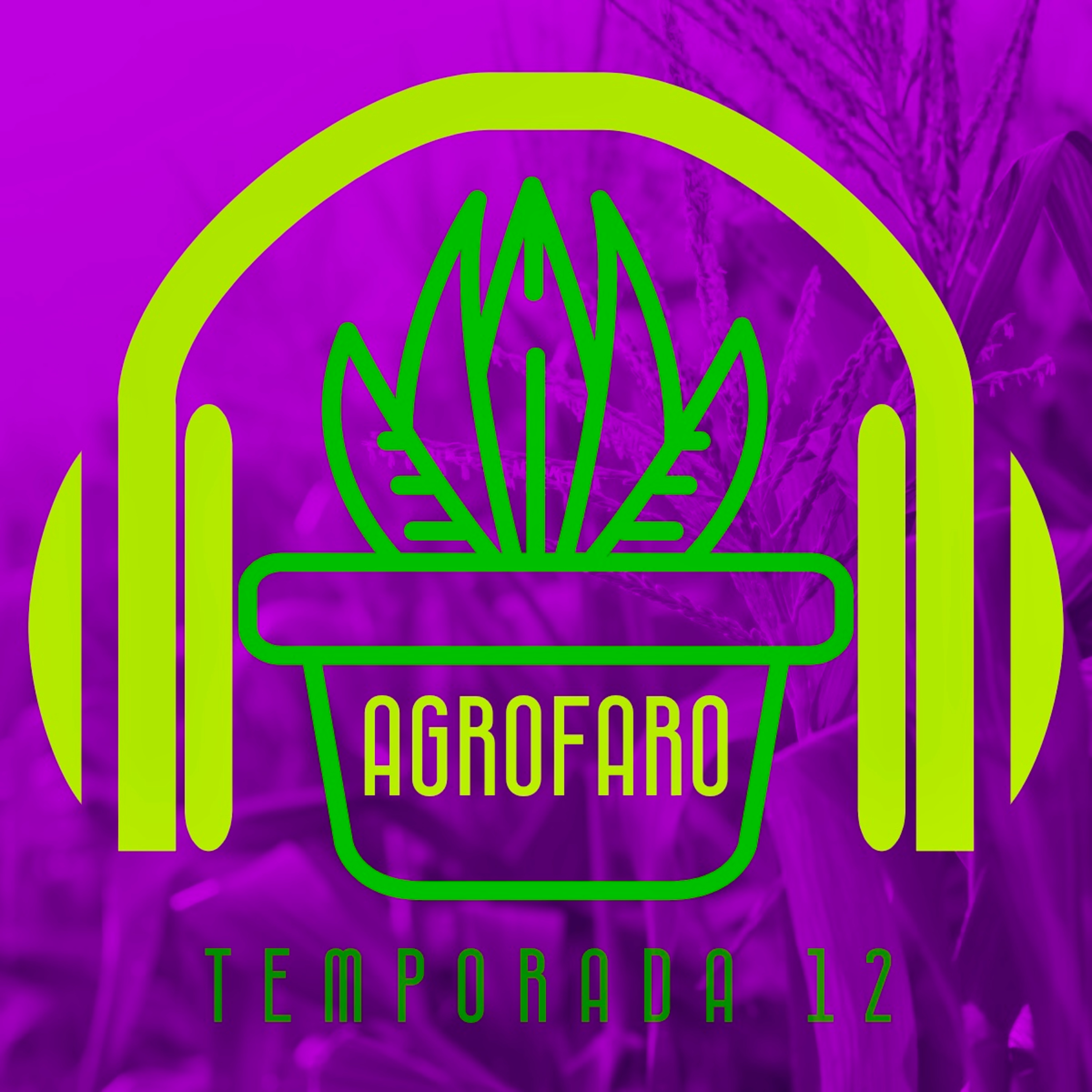Portada de AGROFARO RADIO