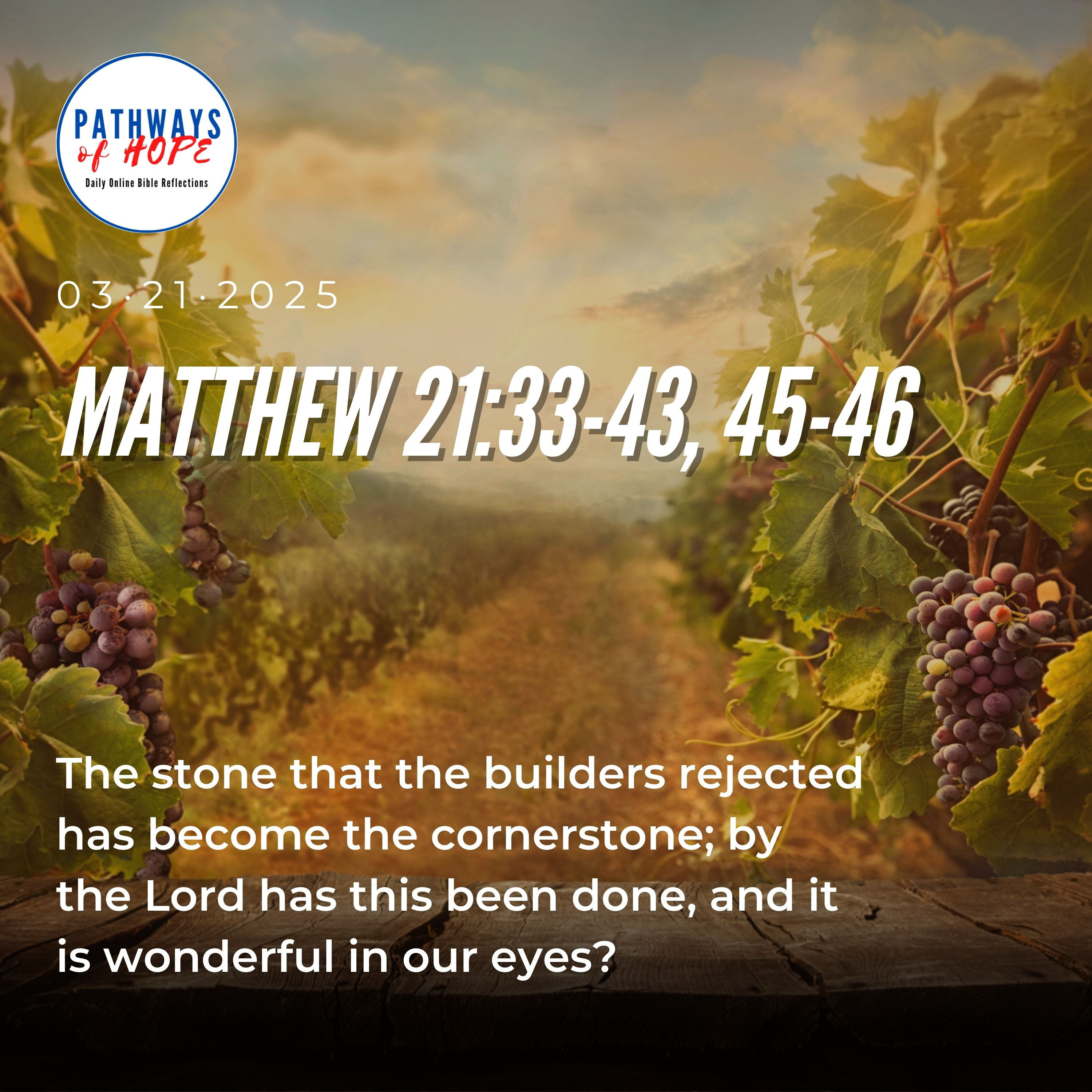 Pathways of Hope: "Our Own Vineyard" episode artwork