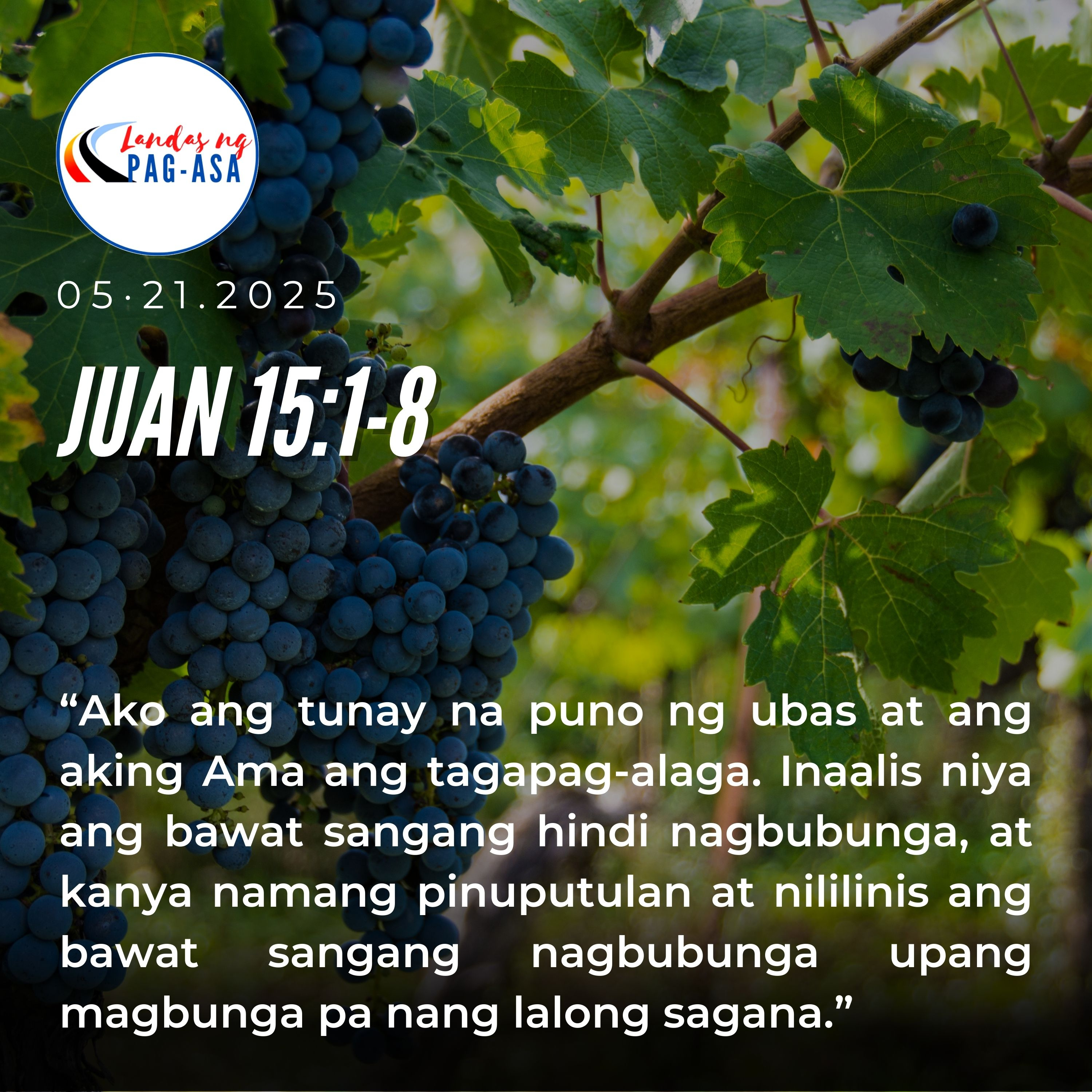 LANDAS NG PAG-ASA : “MANATILI AT MAMUNGA” episode artwork