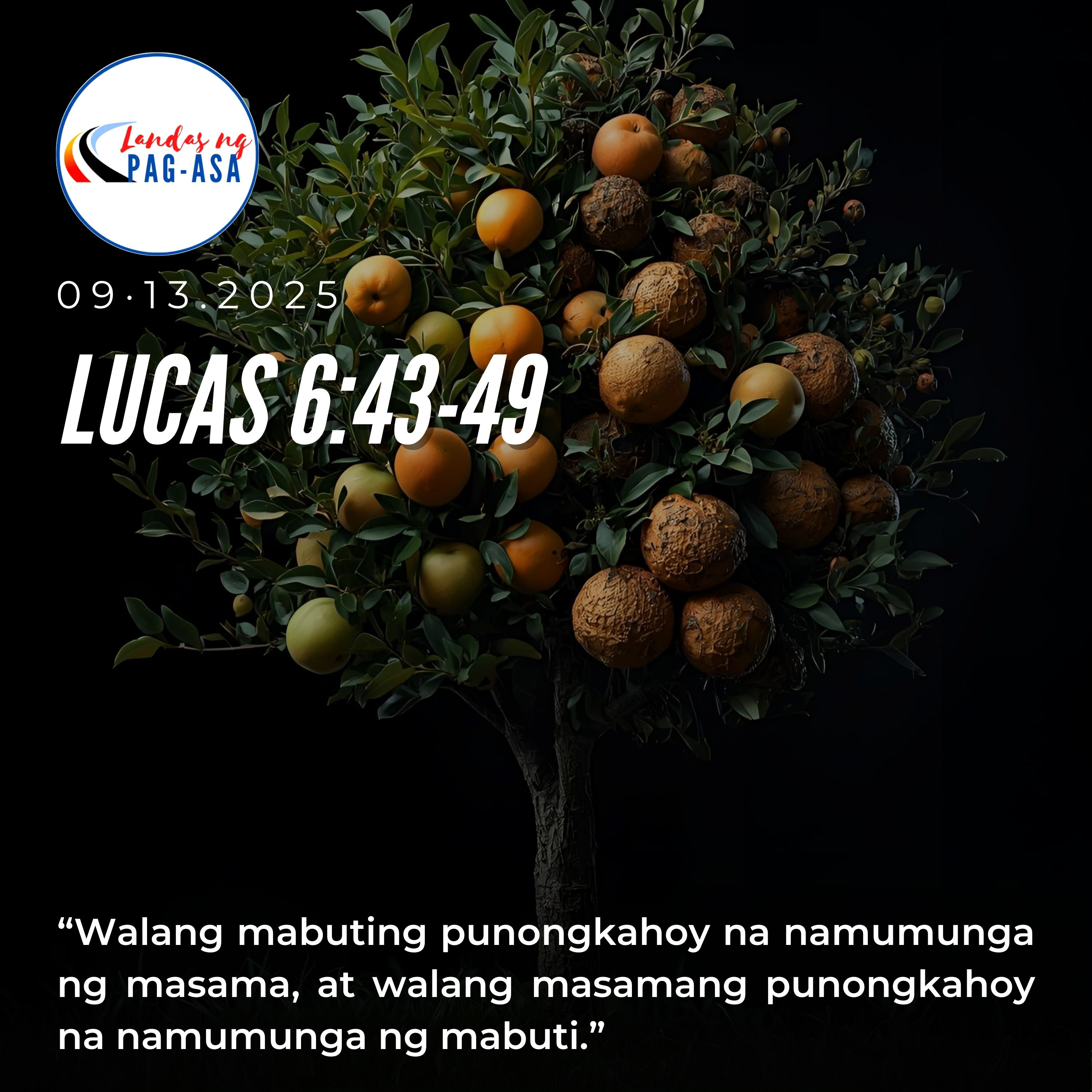 LANDAS NG PAG-ASA : “MABUTING PUNO, MAGANDANG BUNGA” episode artwork