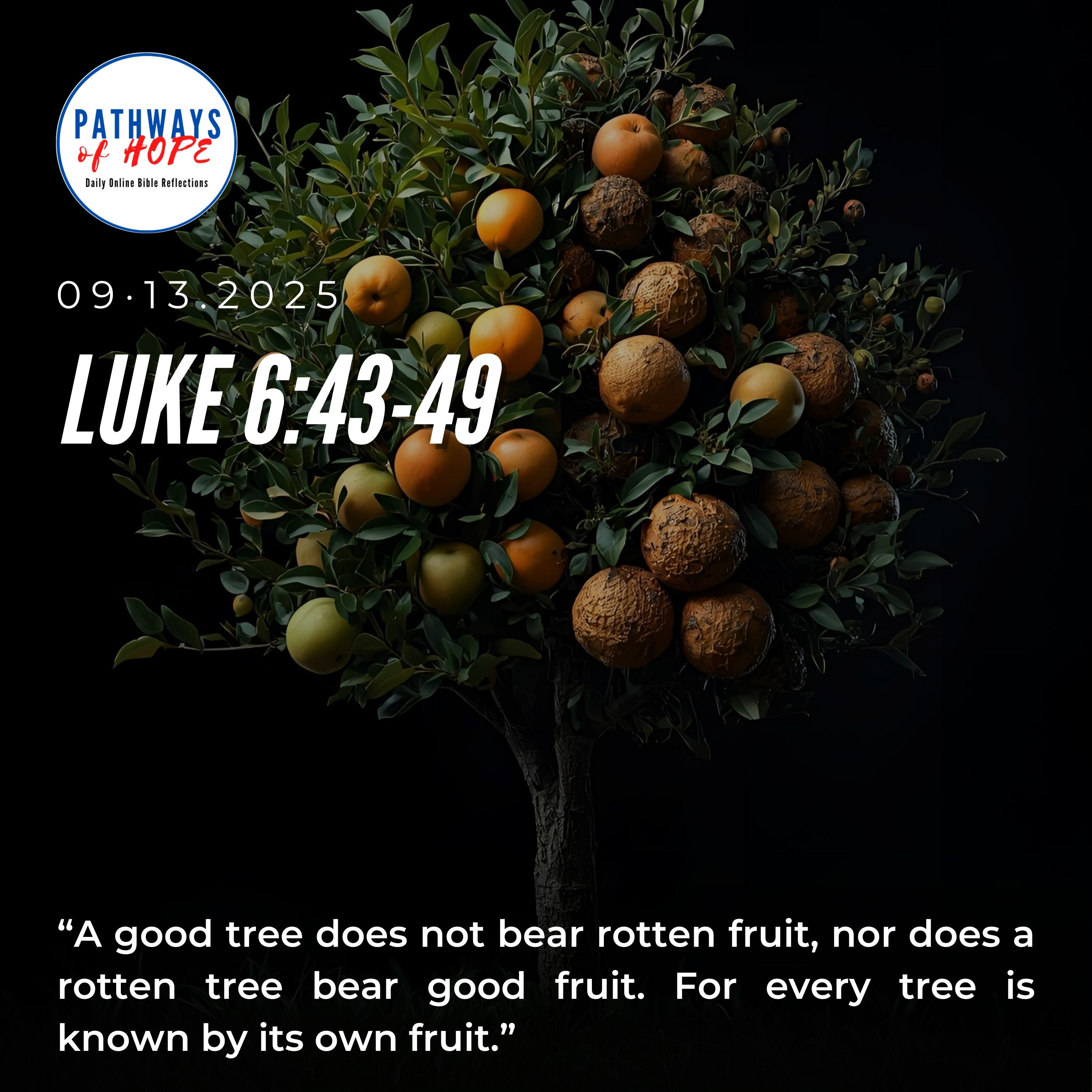 PATHWAYS OF HOPE: “GOOD ROOT, GOOD TREE, GOOD FRUIT” episode artwork