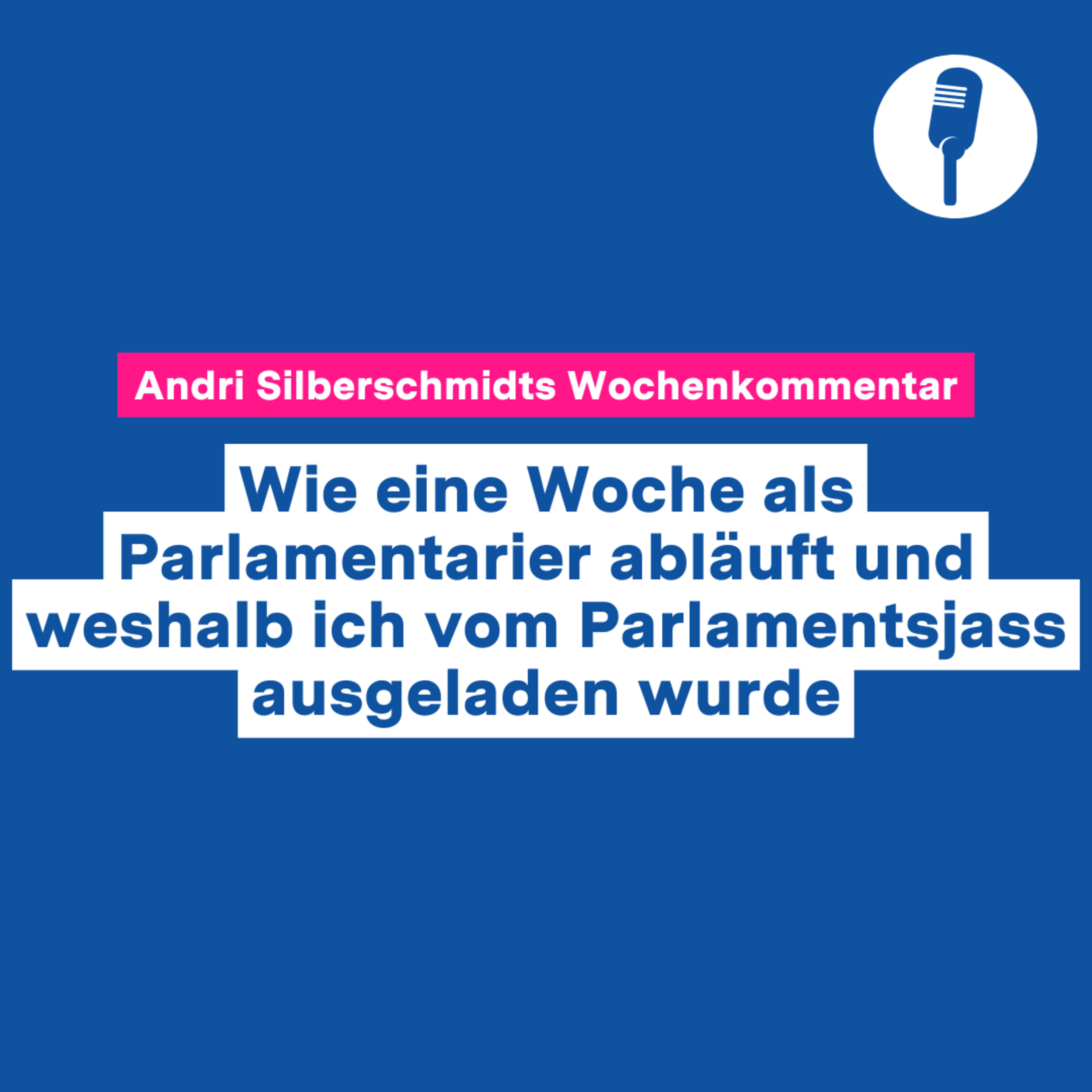Andri Silberschmidt Podcast