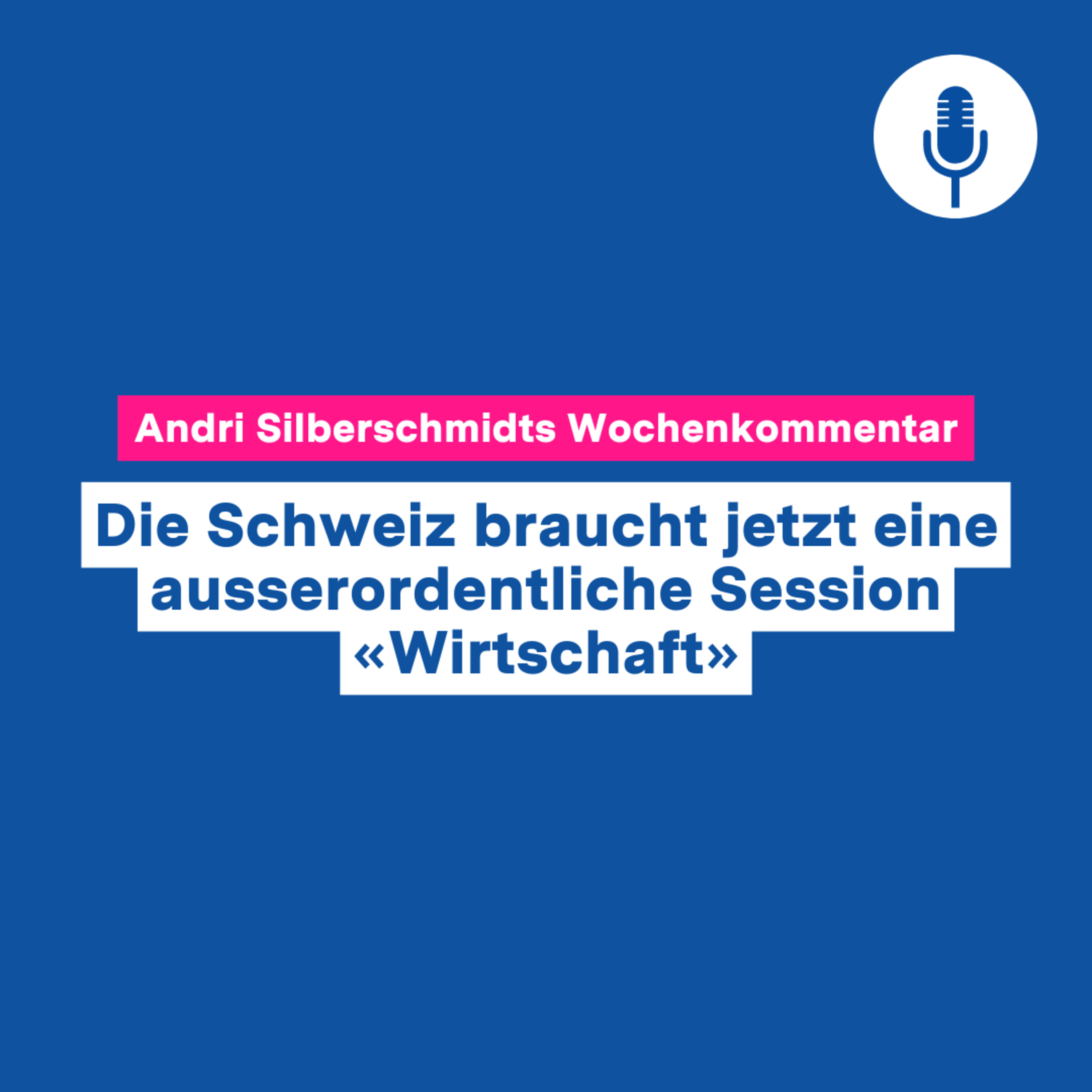 Die Schweiz braucht jetzt eine ausserordentliche Session «Wirtschaft» – Wochenkommentar #133 Die Schweiz braucht jetzt eine ausserordentliche Session «Wirtschaft» – Wochenkommentar #133